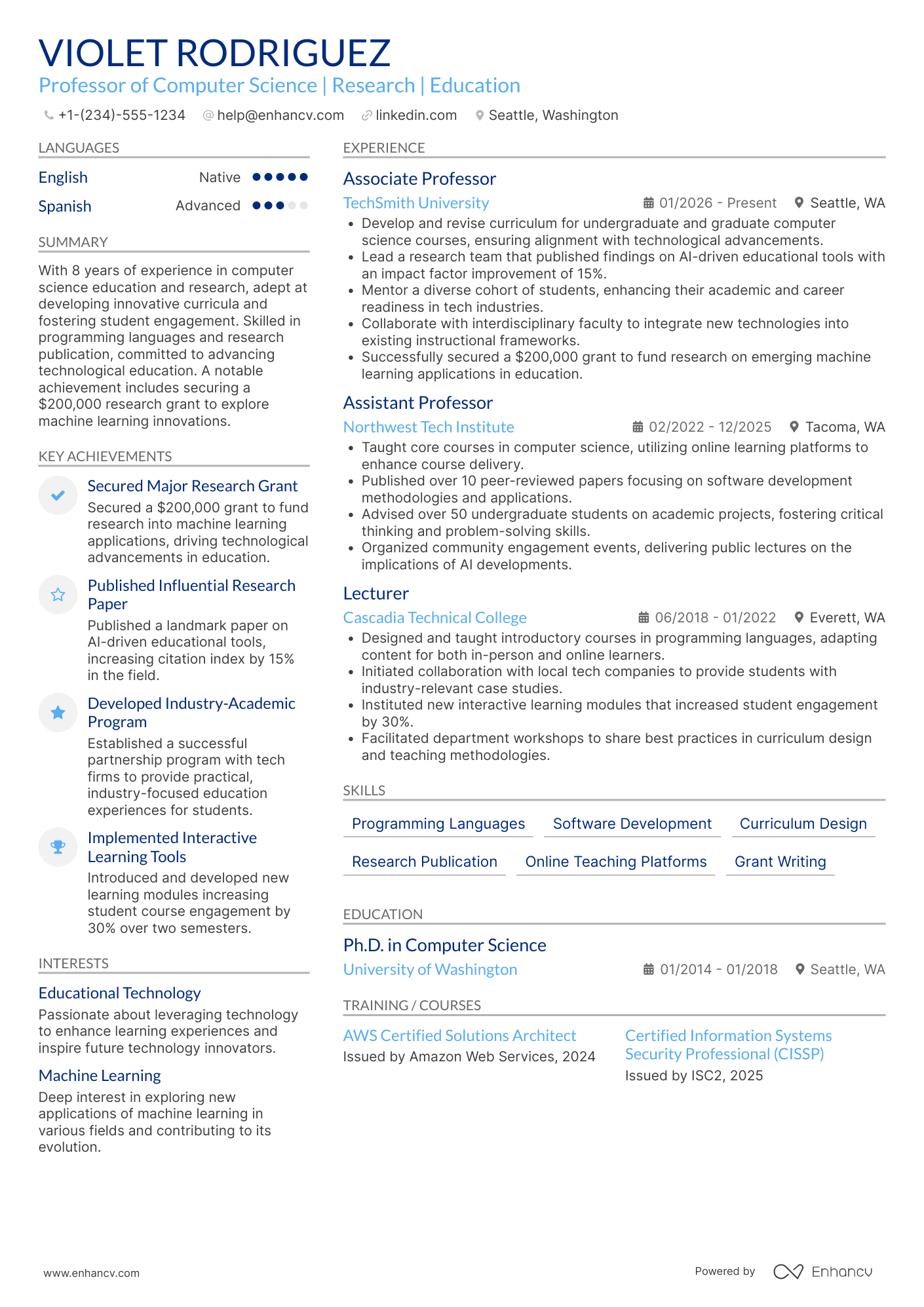 Professor Resume Example