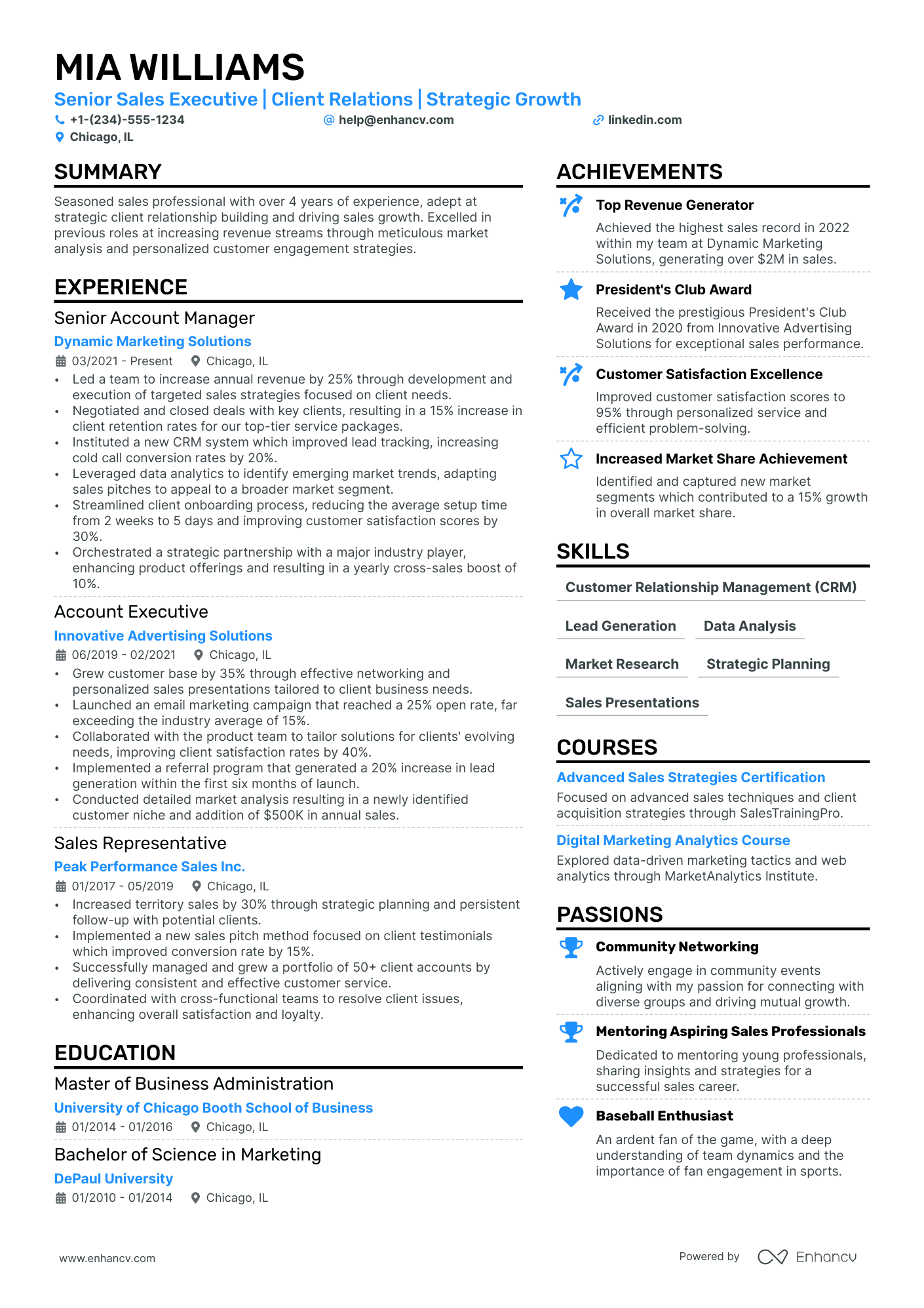 Sales Account Executive Resume Example