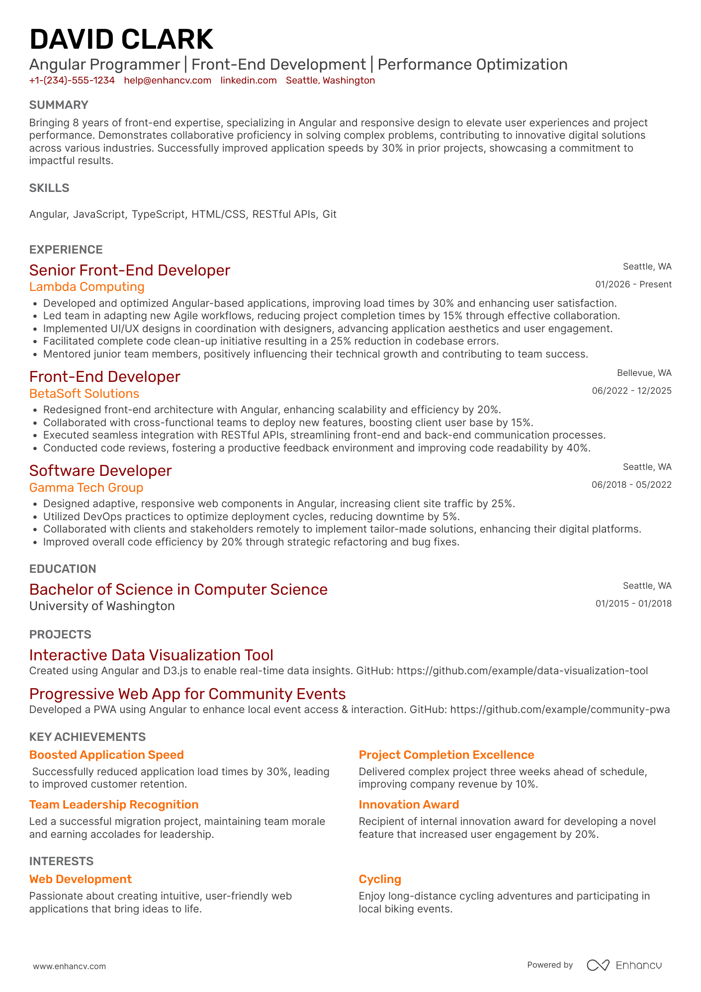 Angular Programmer Resume Example