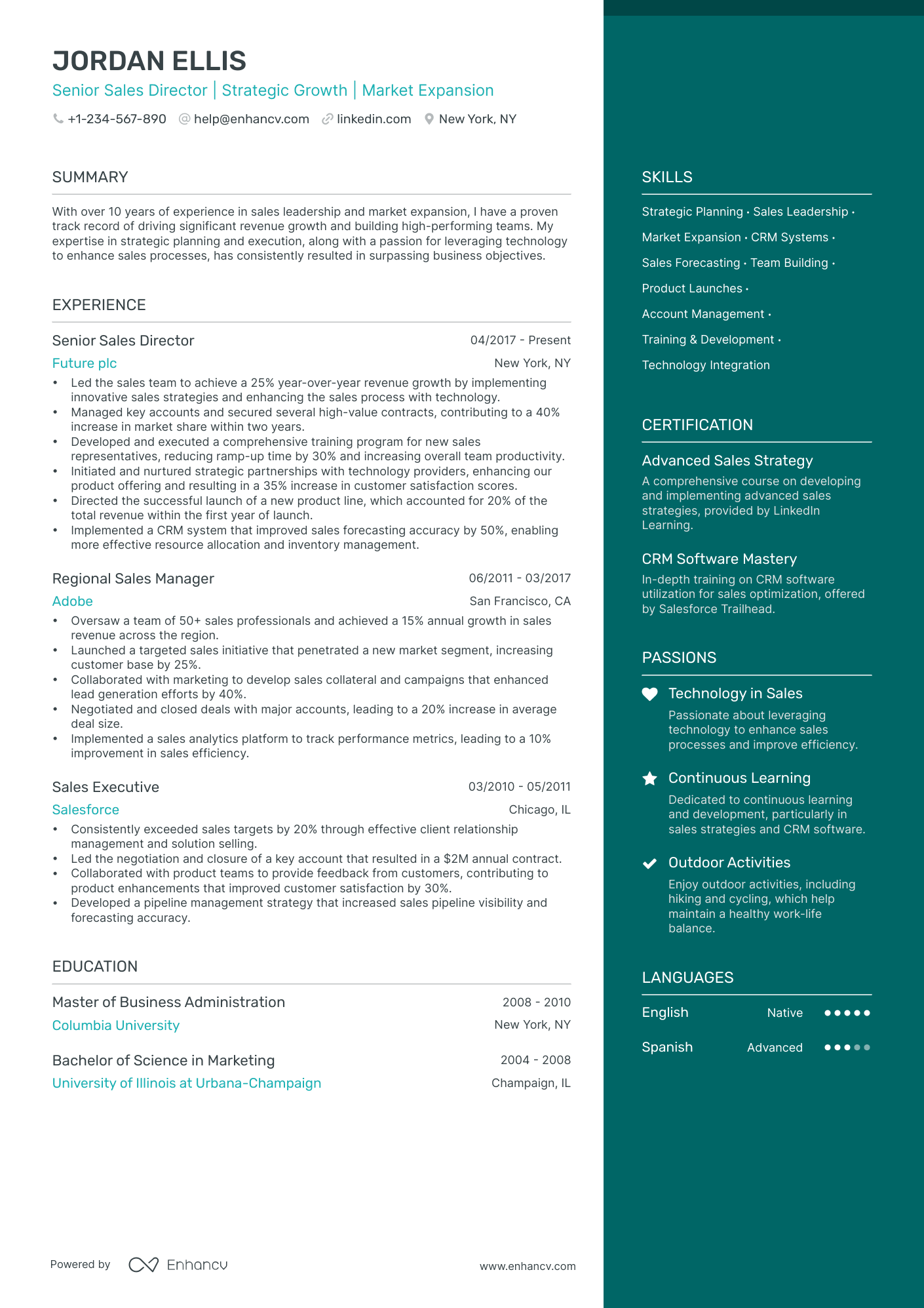 Director of Sales Resume Example