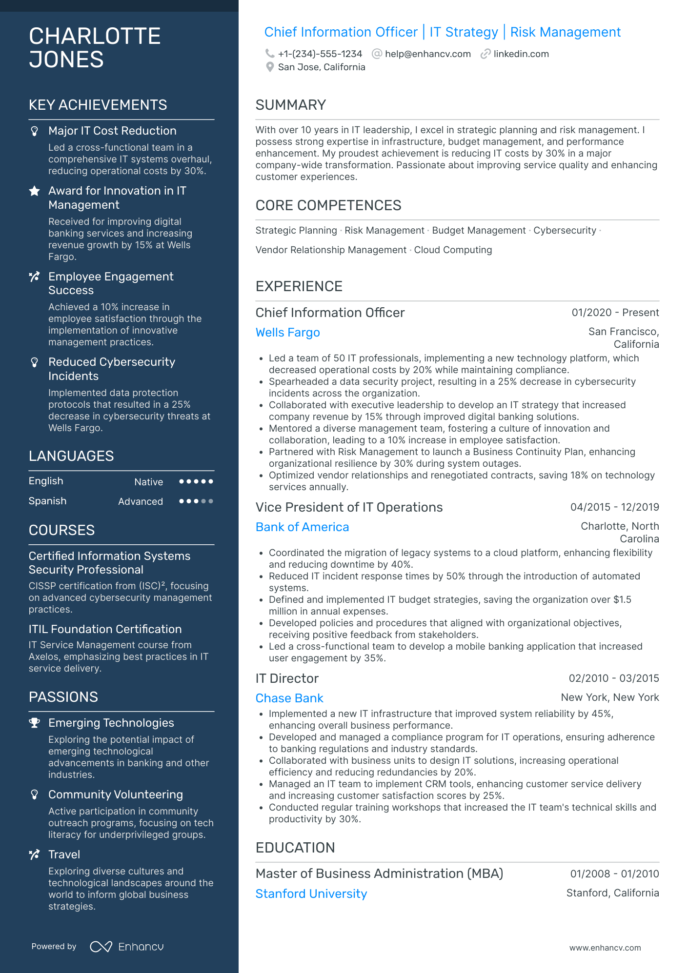 Chief Information Officer in Finance Resume Example