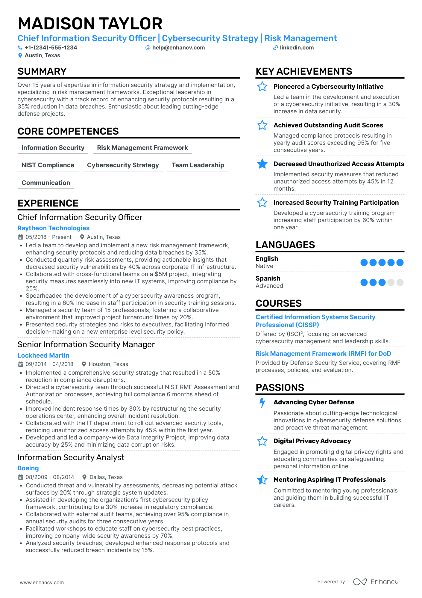 Chief Security Strategy Officer Resume Example