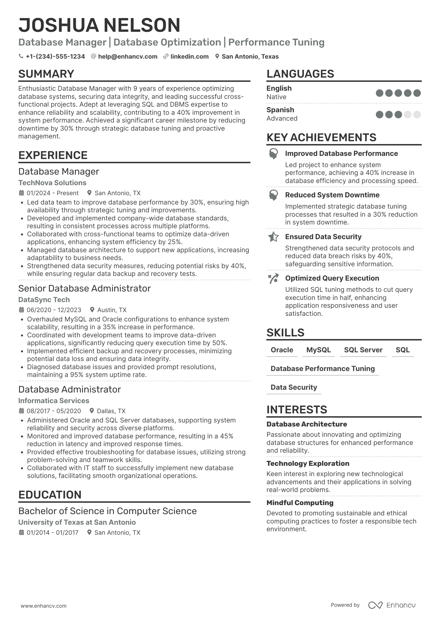 Database Manager Resume Example
