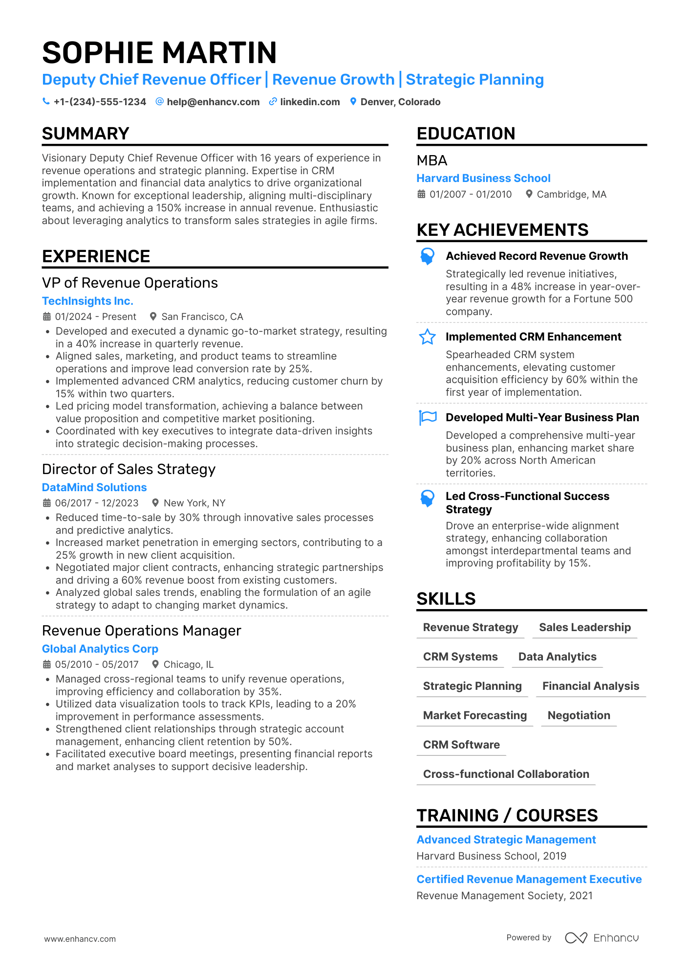 Deputy Chief Revenue Officer Resume Example