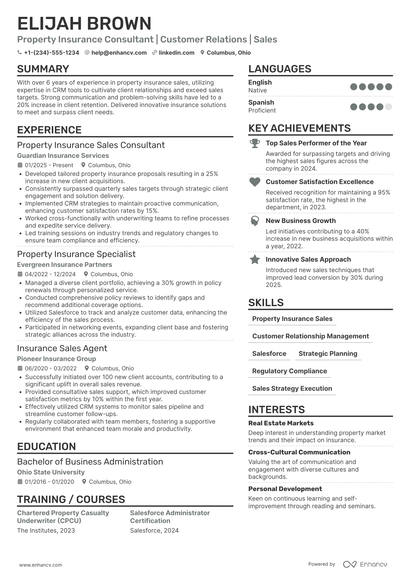 Property Insurance Sales Consultant Resume Example