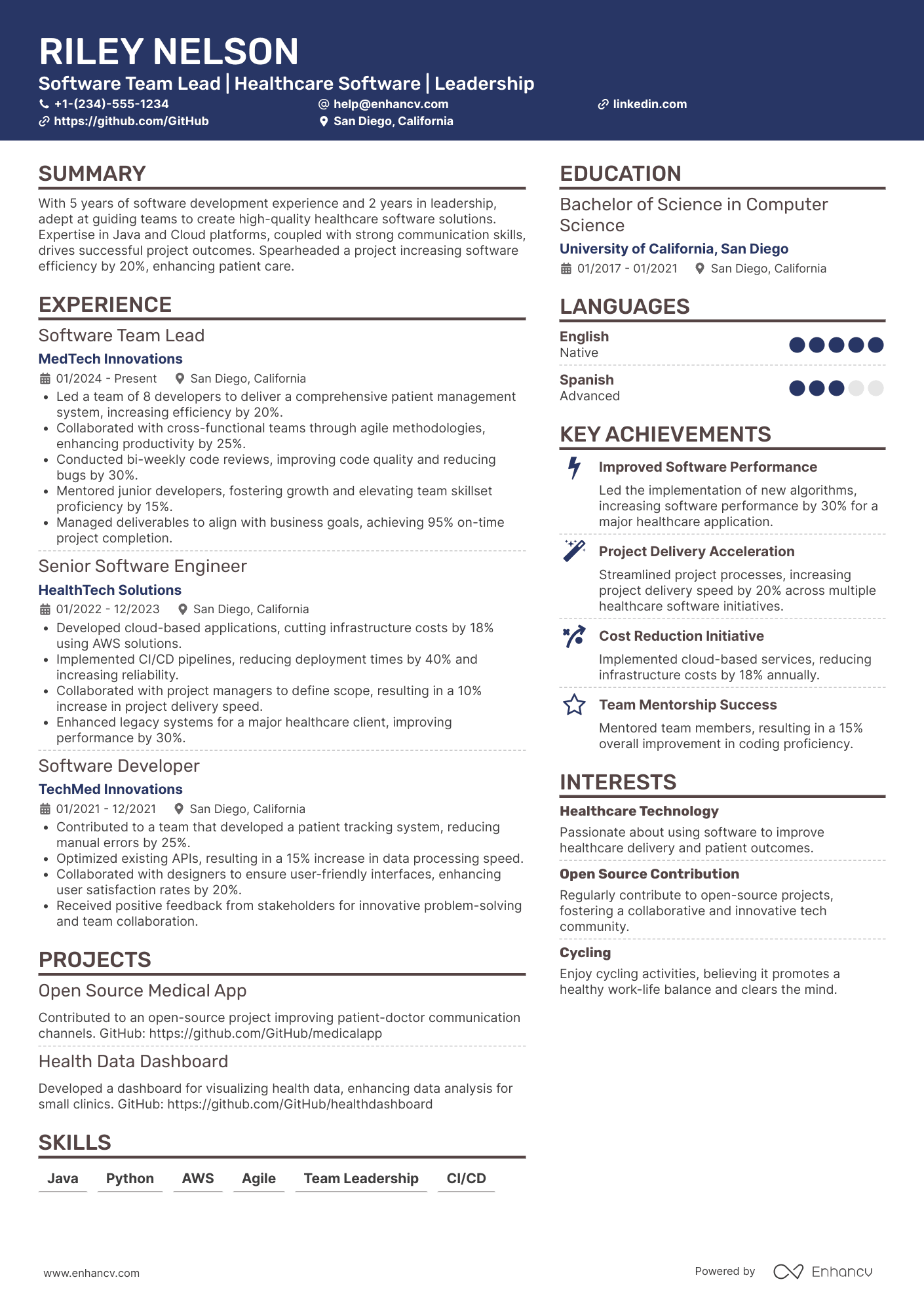 Software Team Lead Resume Example