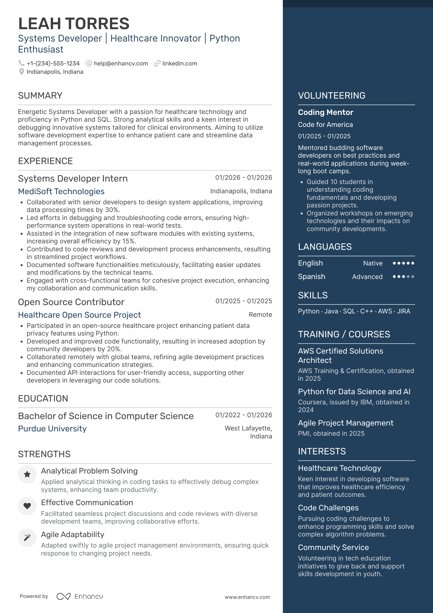 Entry Level Systems Developer Resume Example