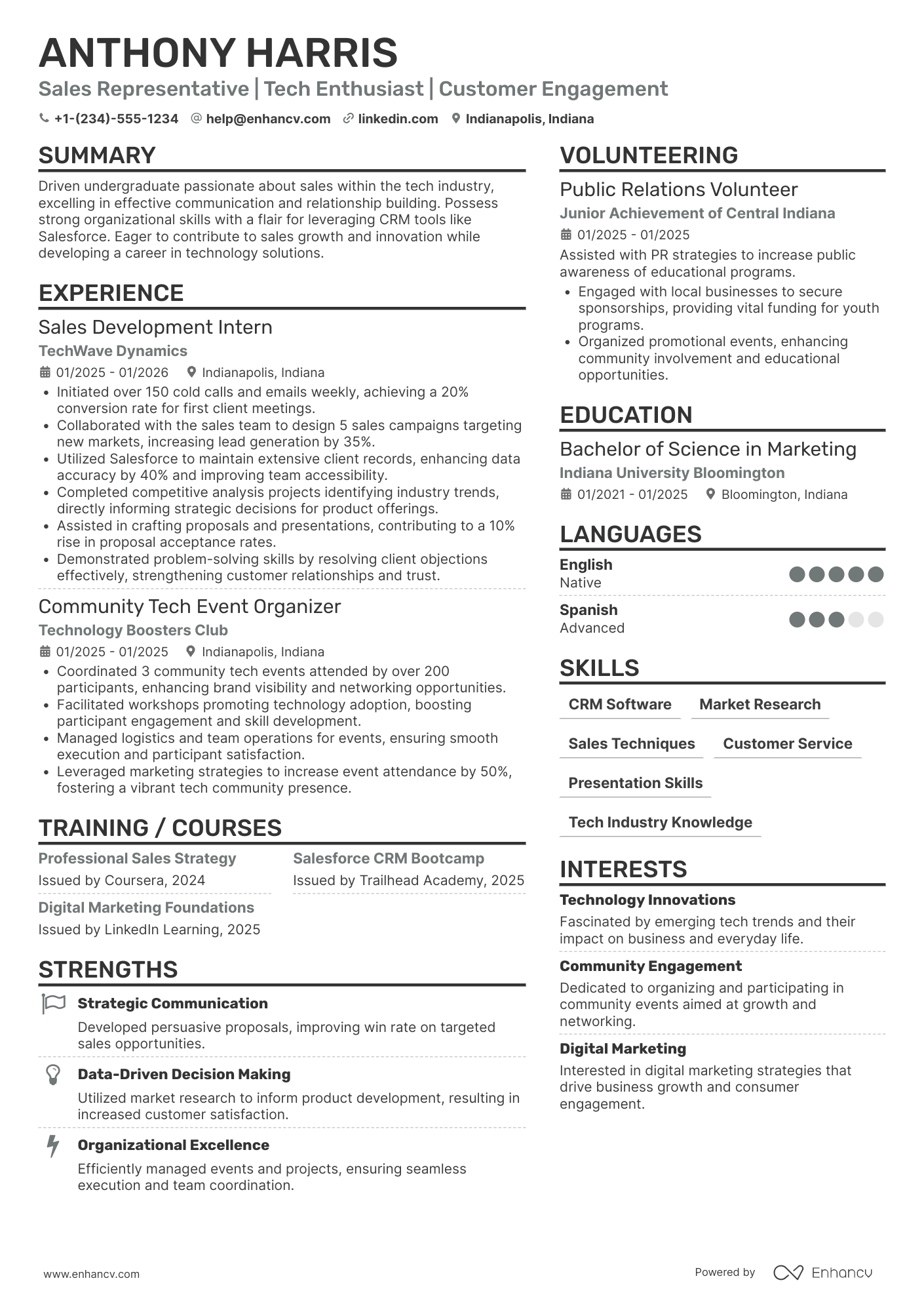 Undergraduate Sales Representative Resume Example