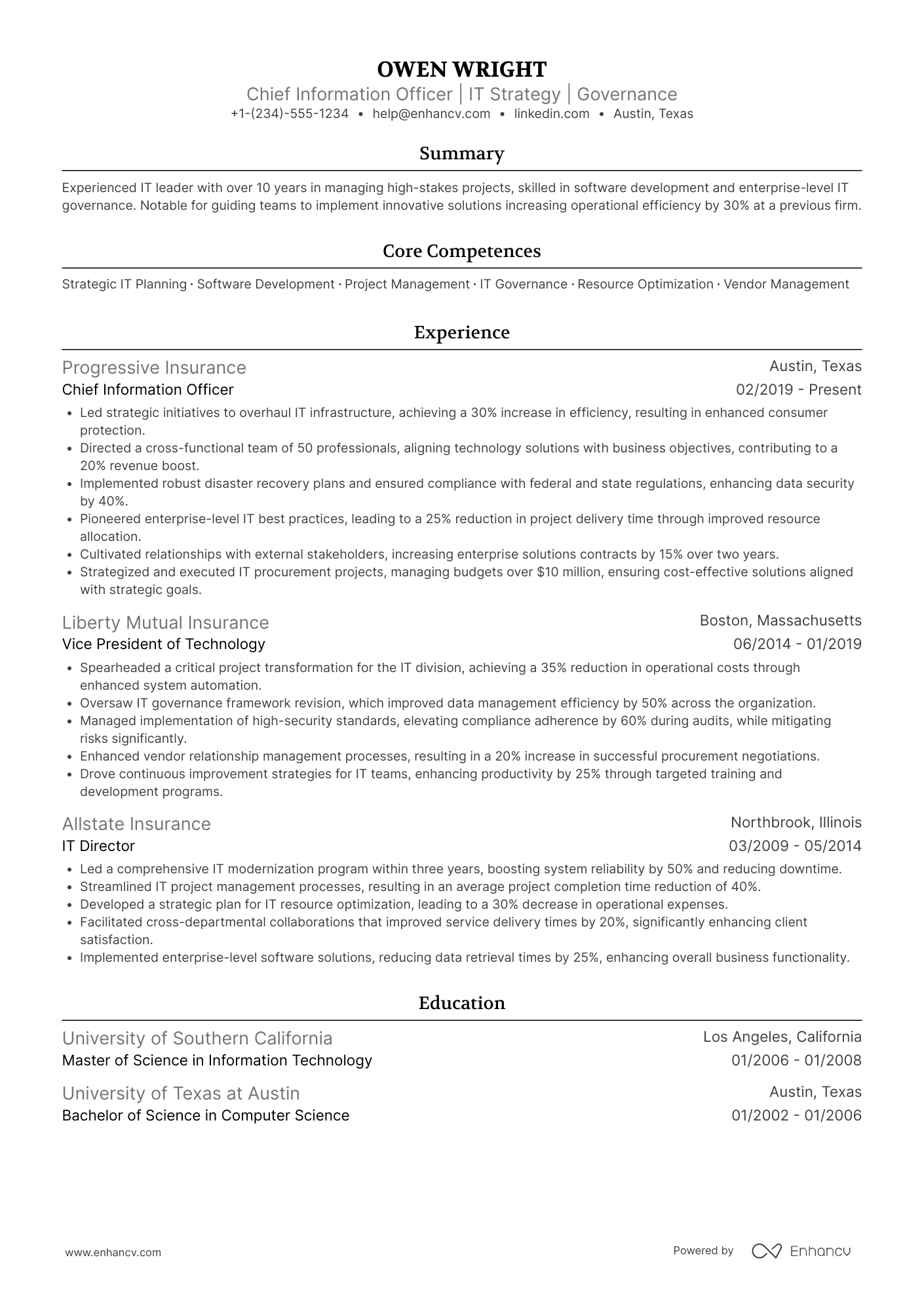Chief Information Officer in Public Sector Resume Example