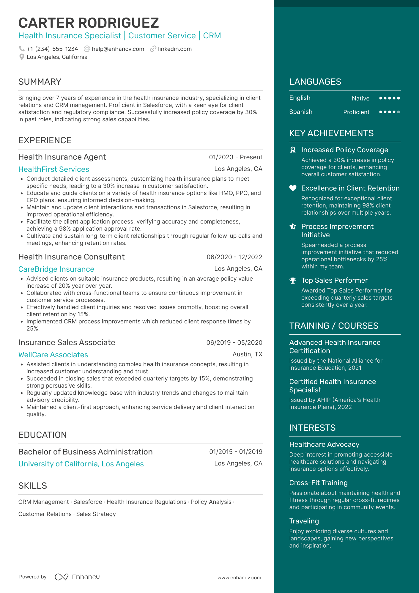 Health Insurance Agent Resume Example