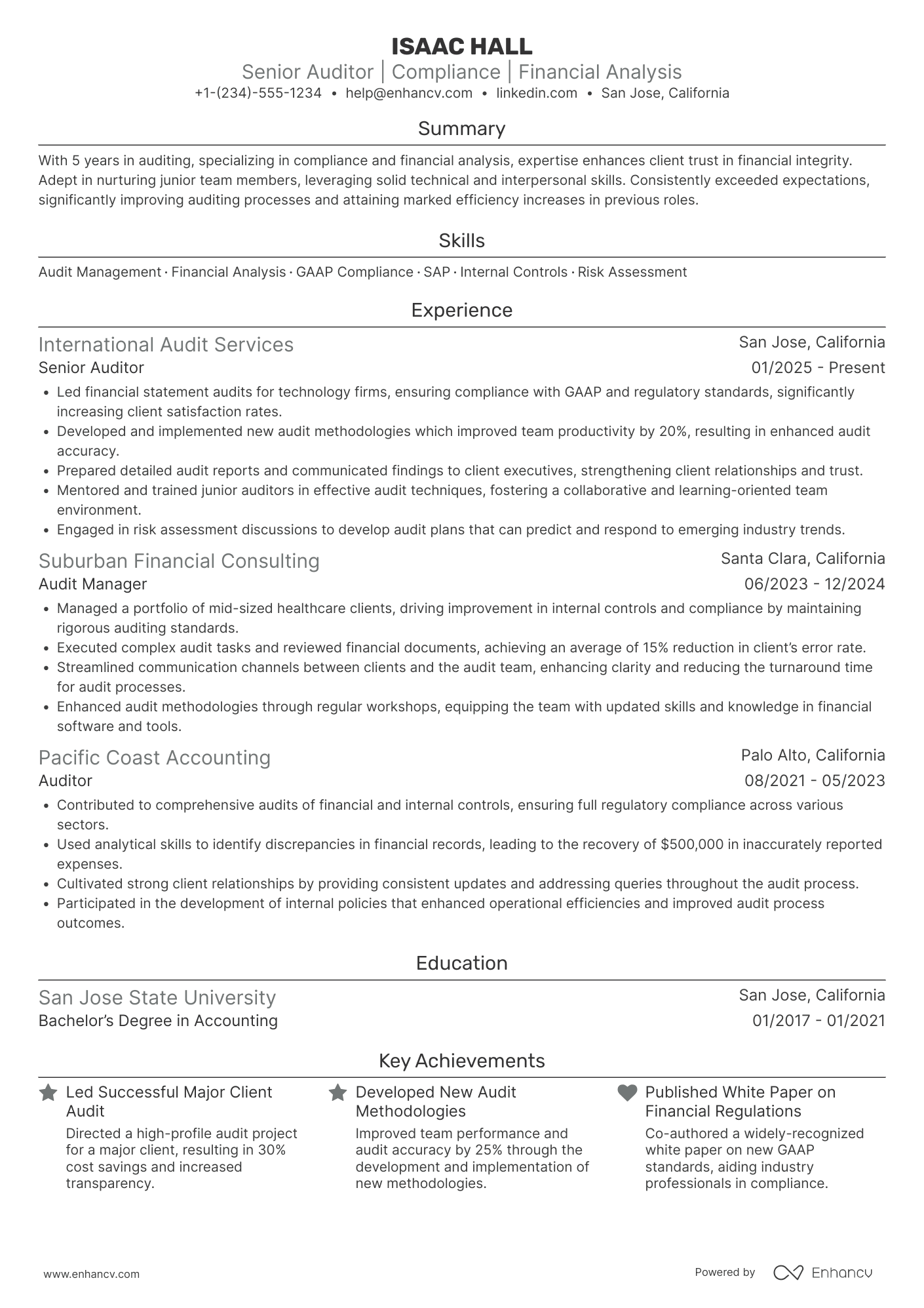 Senior Auditor Resume Example