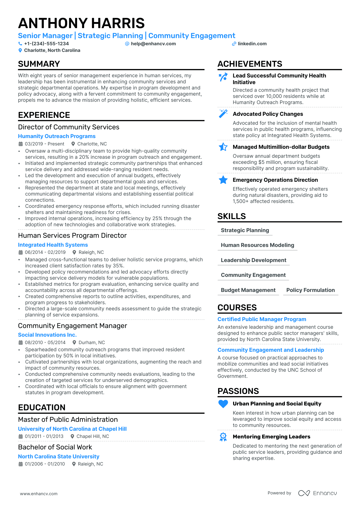 Deputy Director Resume Example