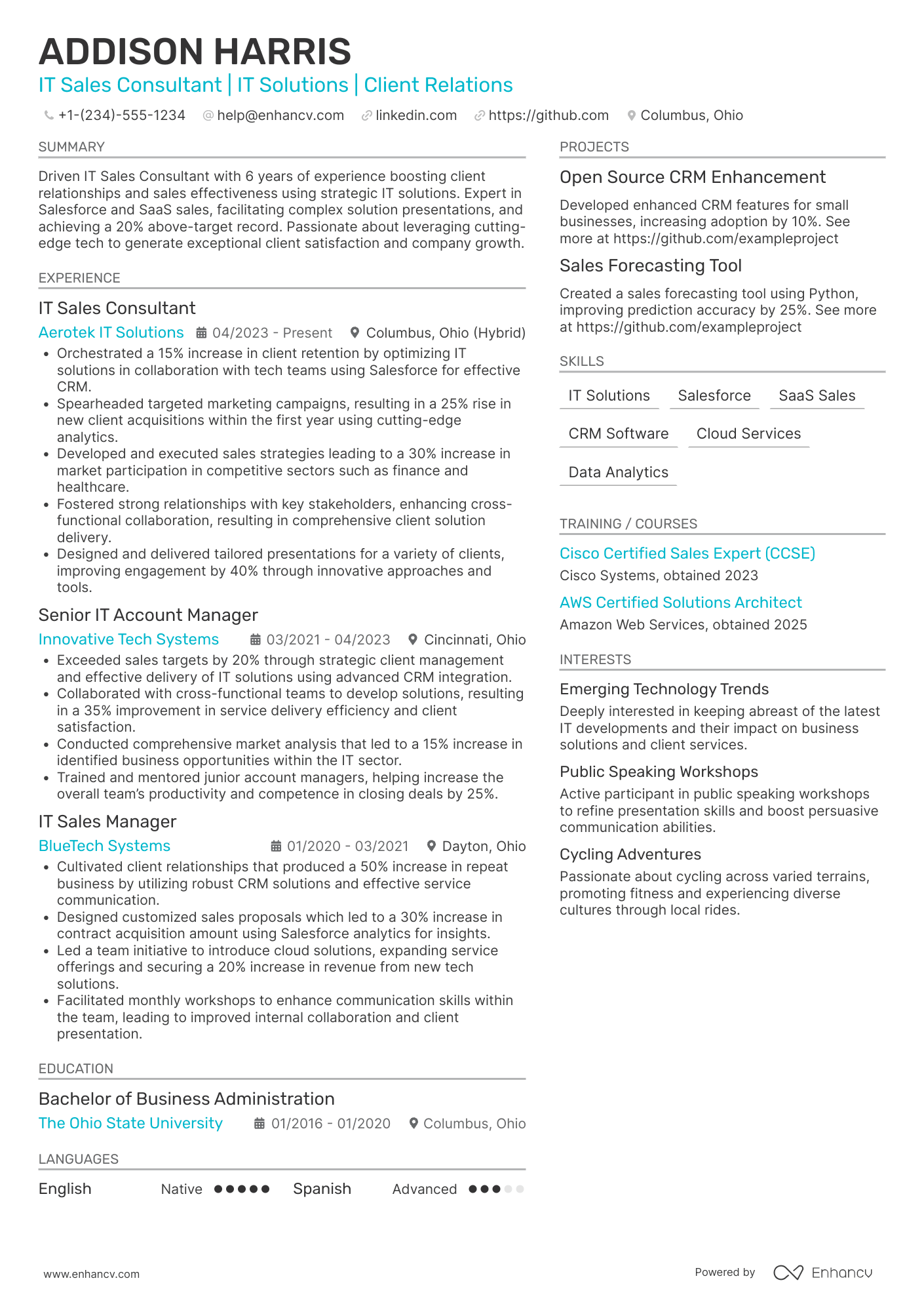IT Sales Consultant Resume Example