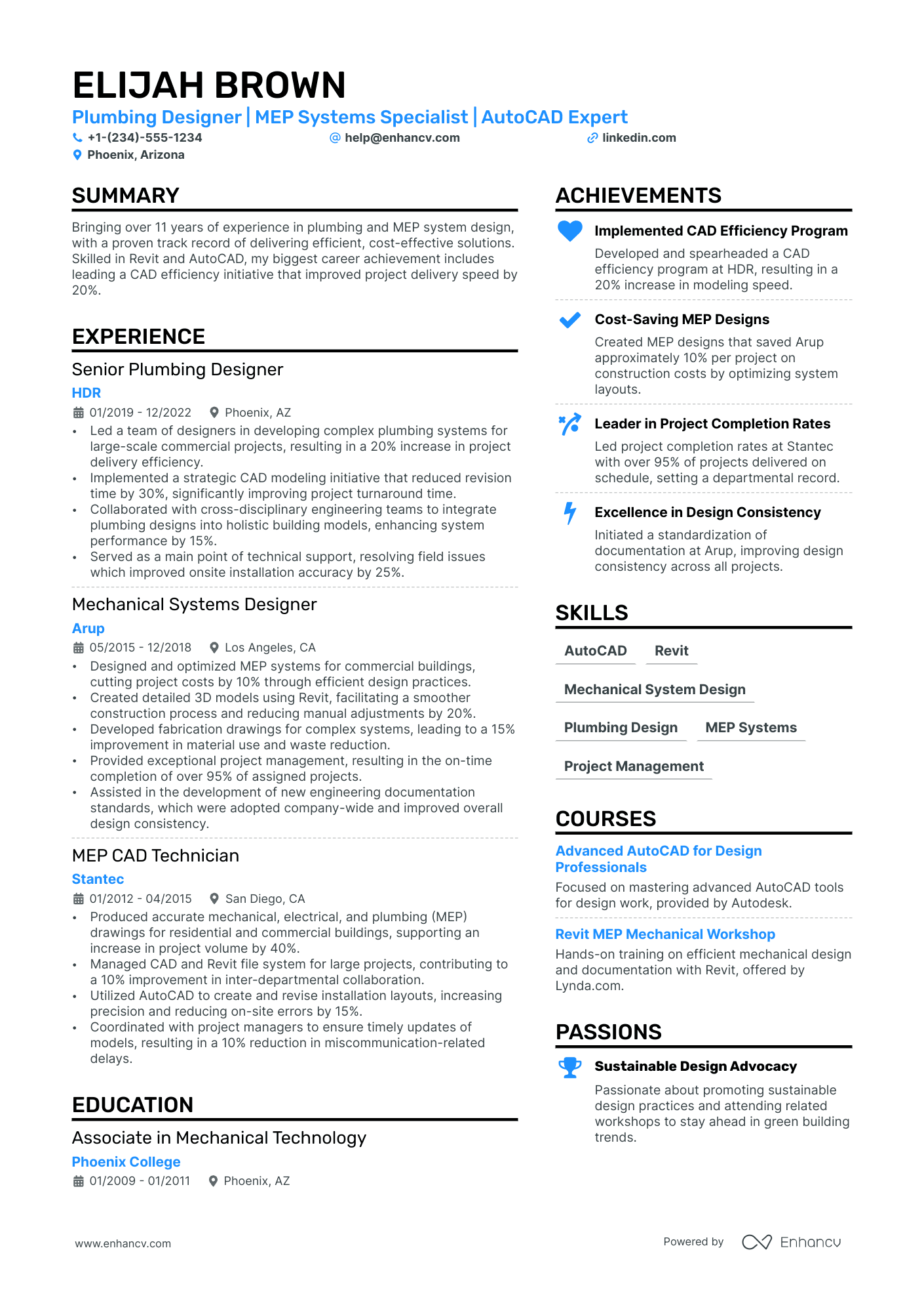 Plumbing Designer Resume Example