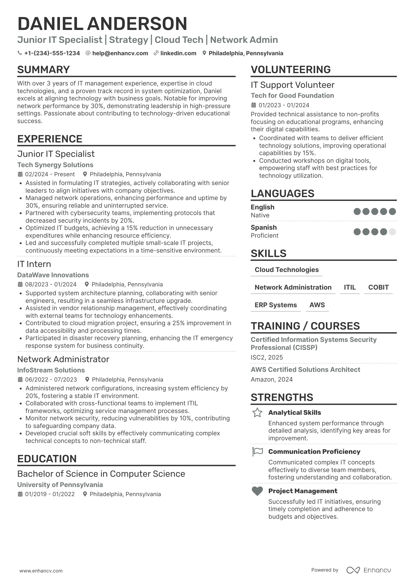 Junior Chief Information Officer Resume Example