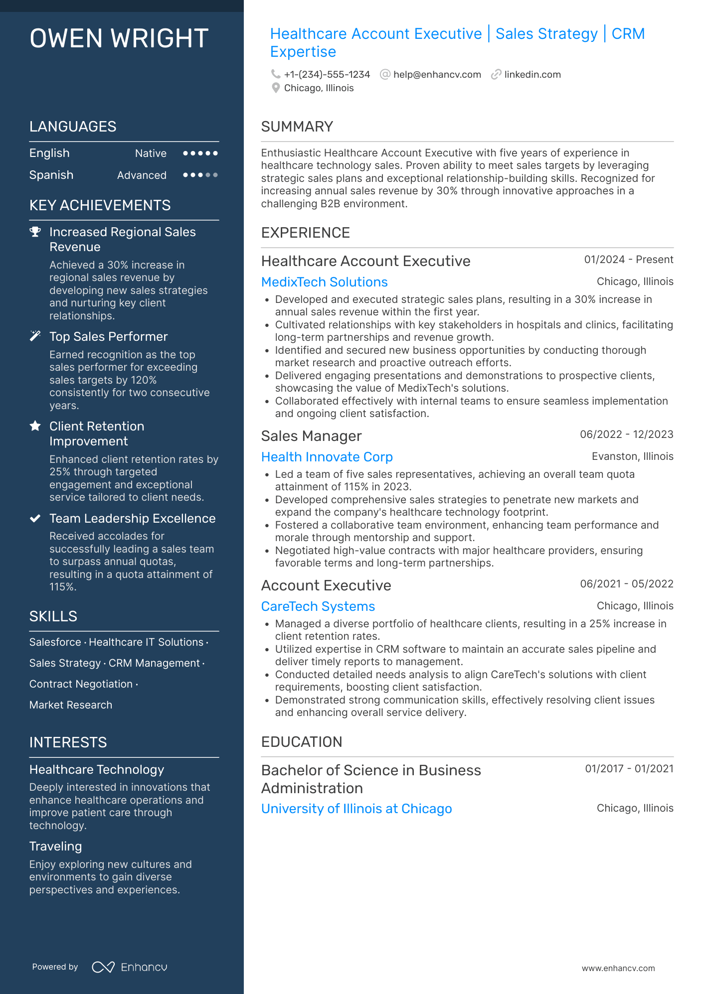 Healthcare Account Executive Resume Example