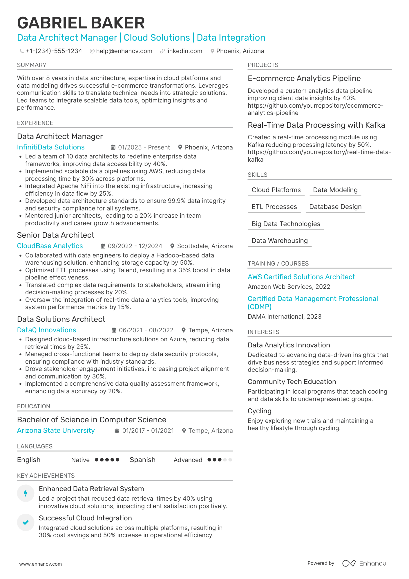 Data Architect Manager Resume Example