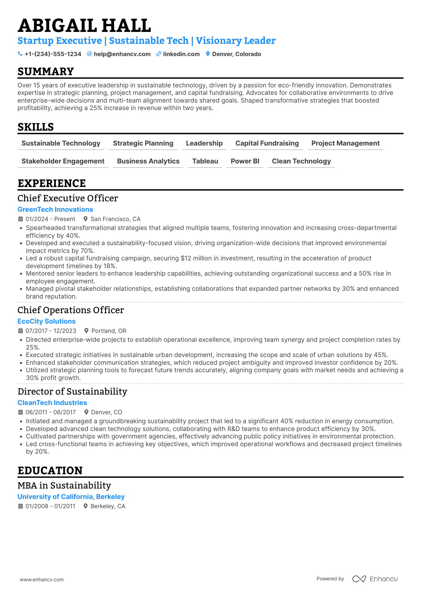 Startup Chief Executive Officer Resume Example