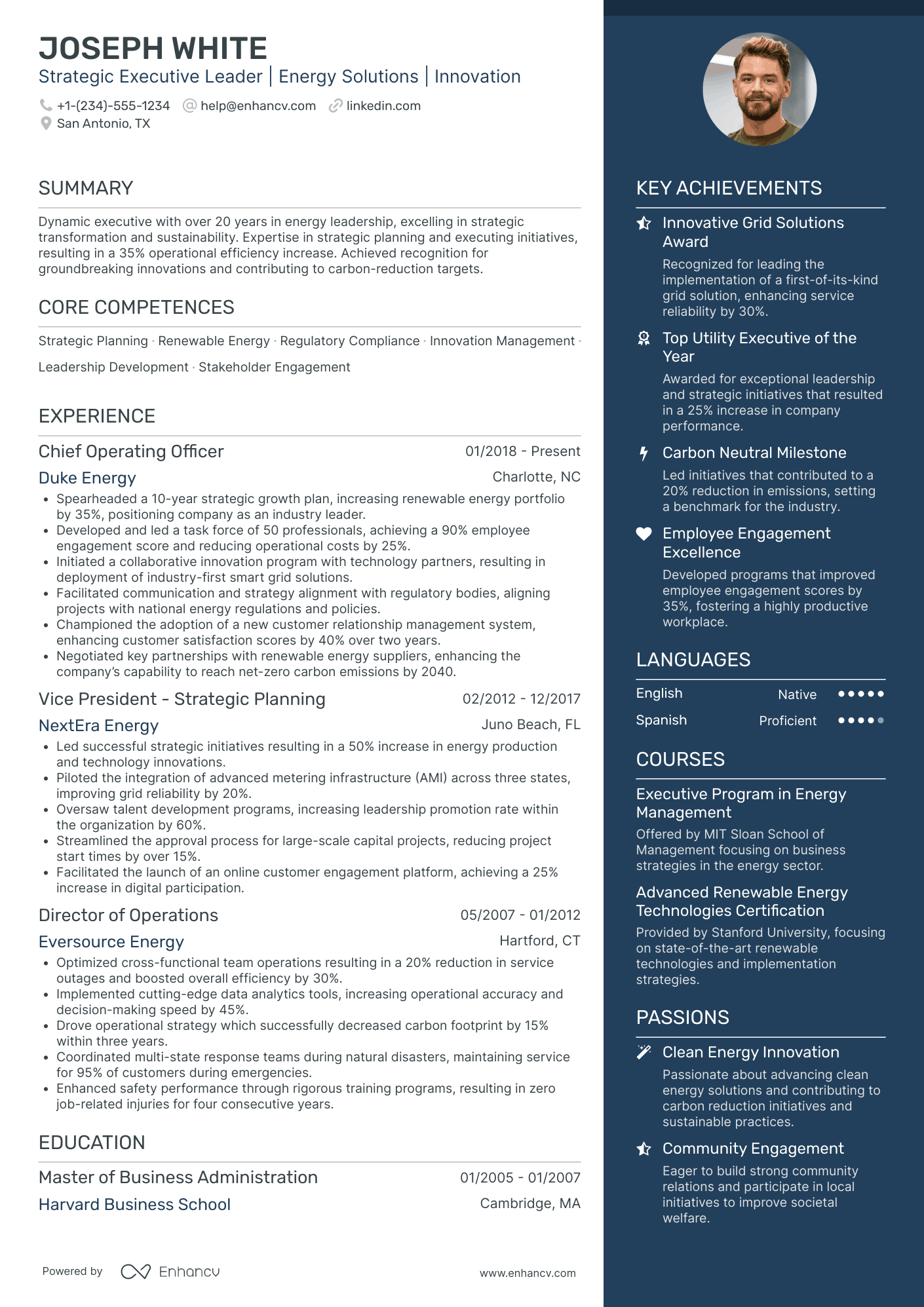 Chief Executive Officer in Energy Resume Example