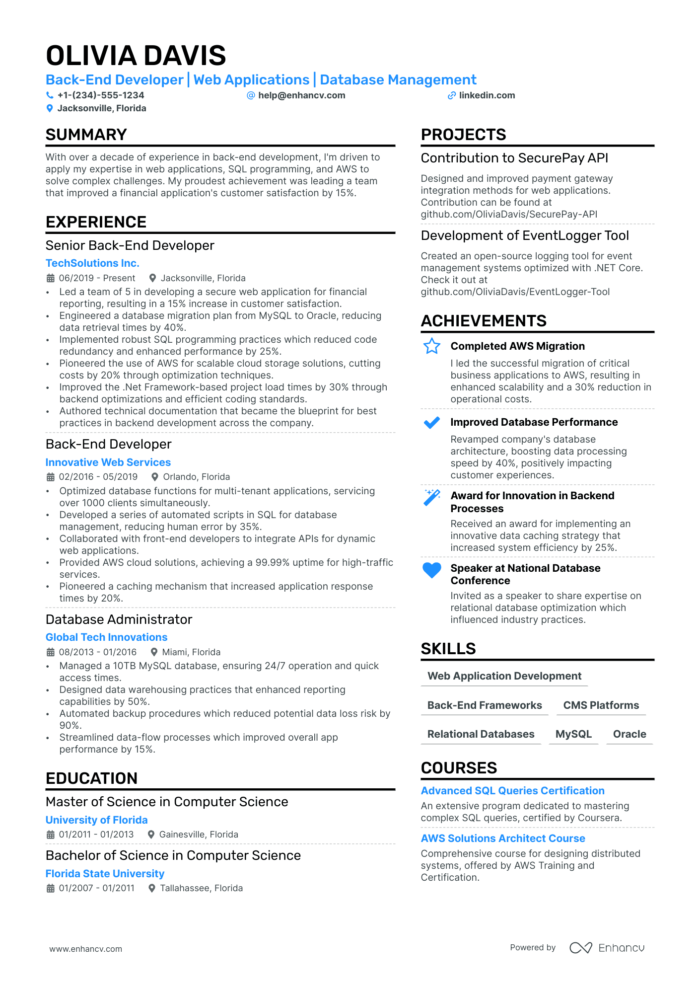 Freelance Developer Resume Example