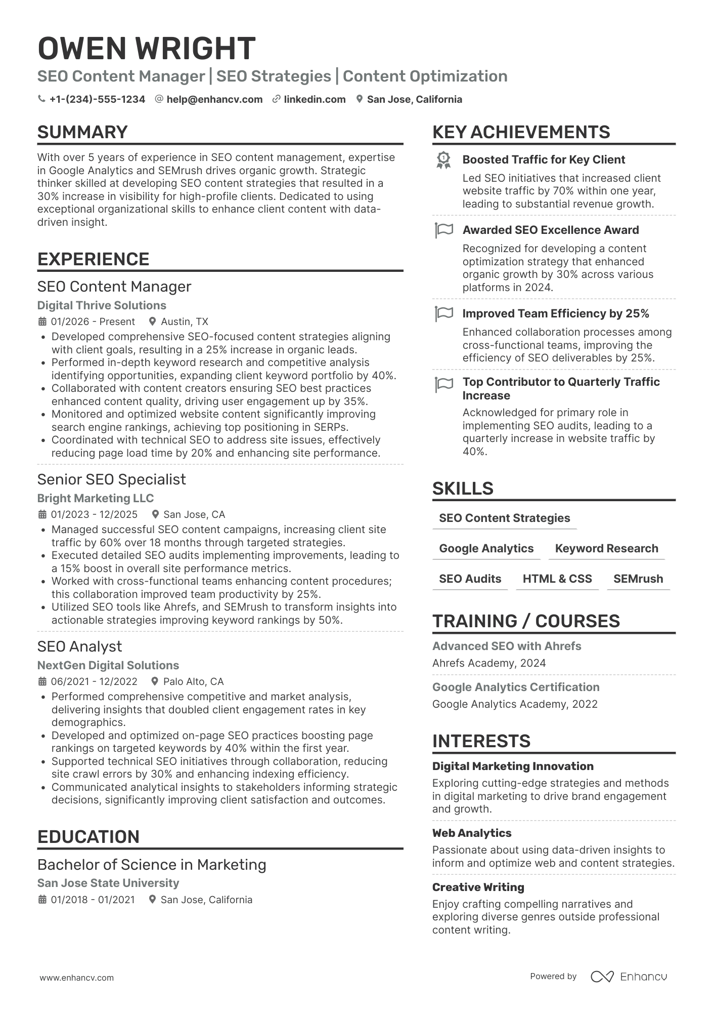 SEO Content Manager Resume Example