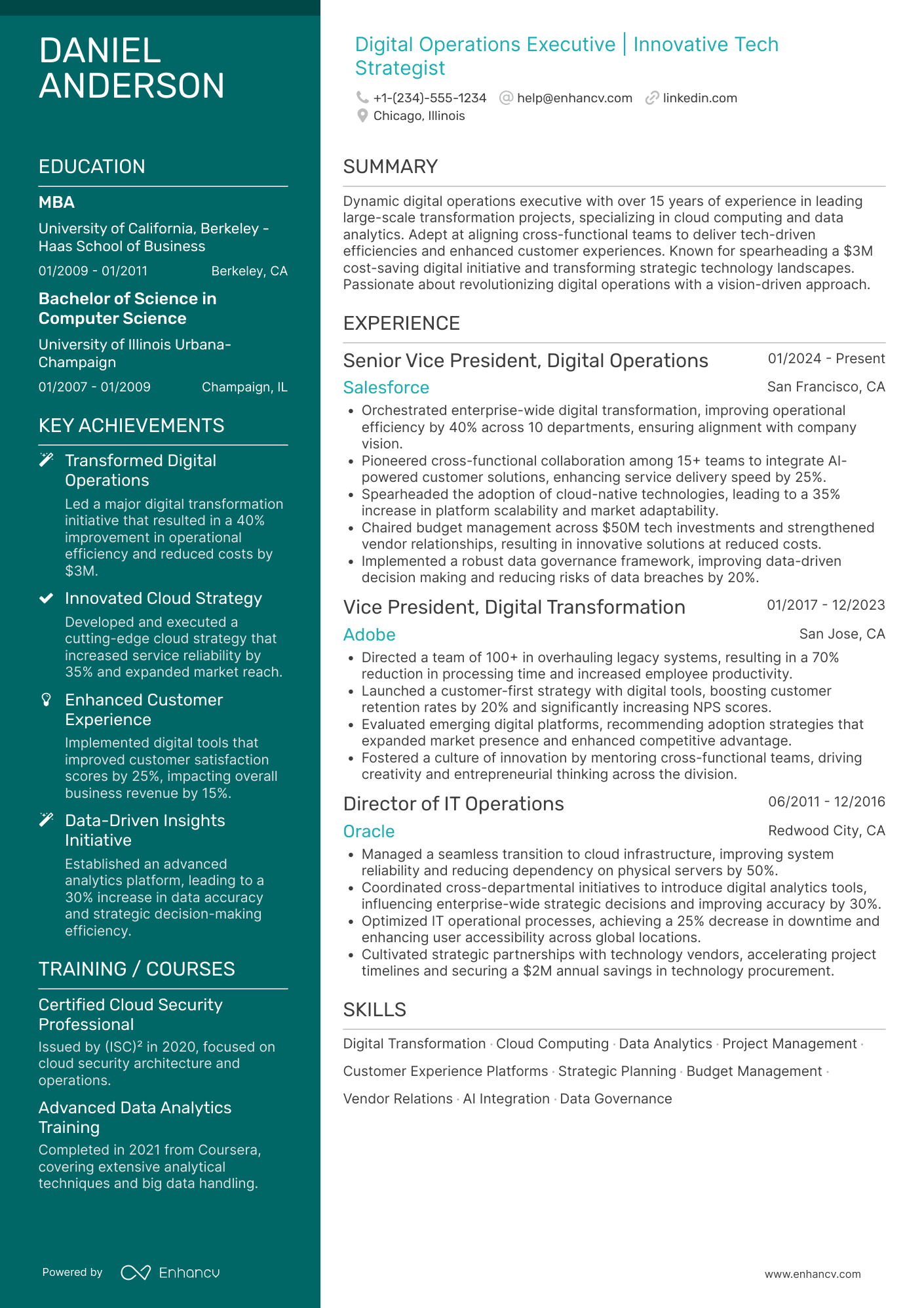 Chief Digital Operations Officer Resume Example