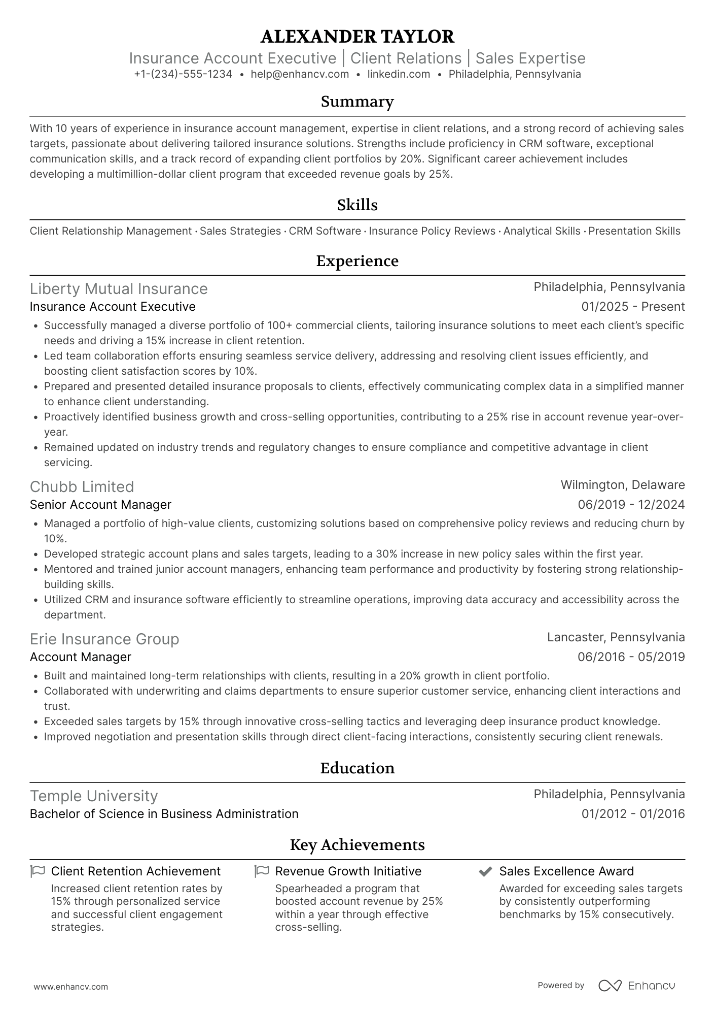 Insurance Account Executive Resume Example
