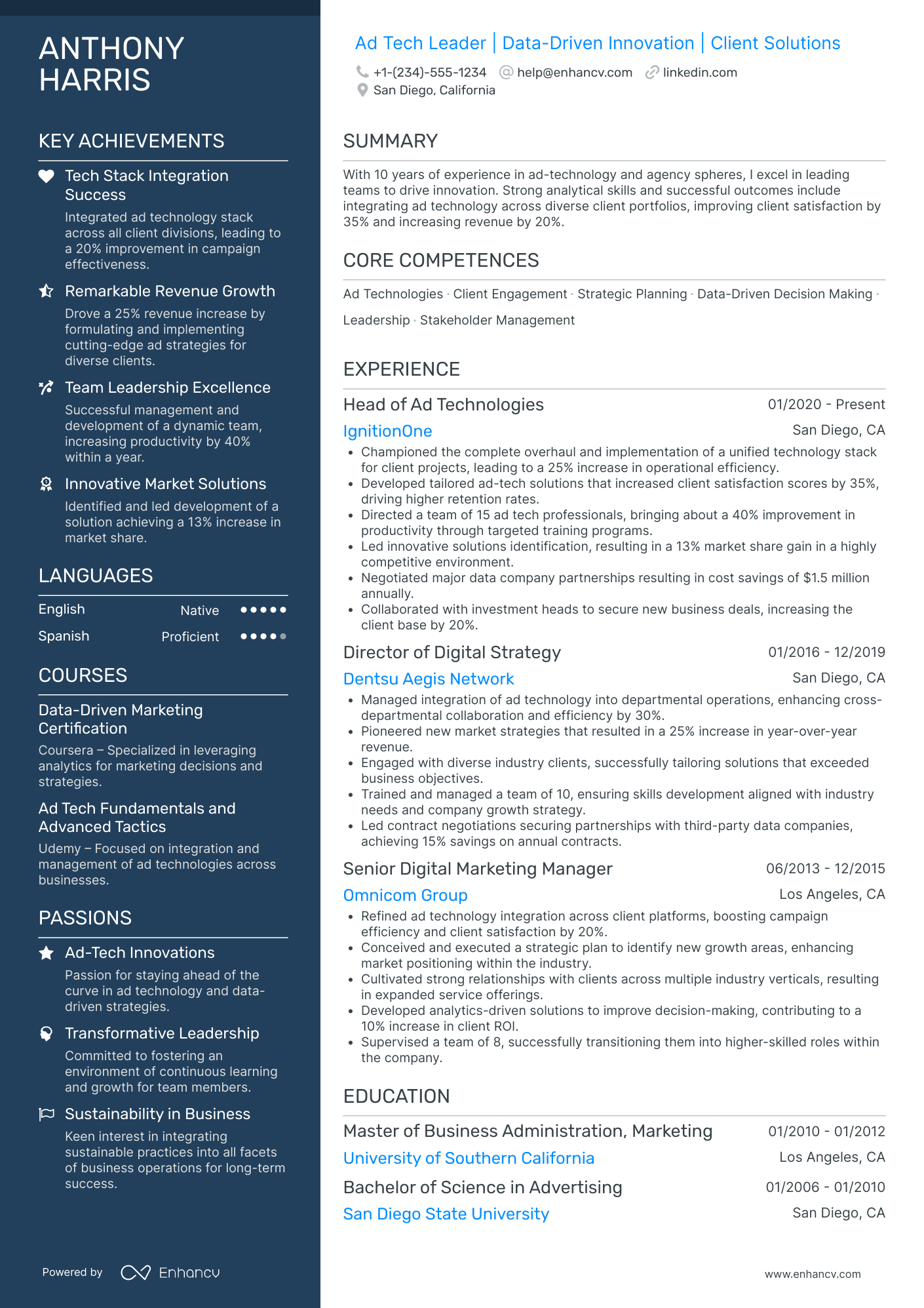 Chief Digital Innovation Officer Resume Example