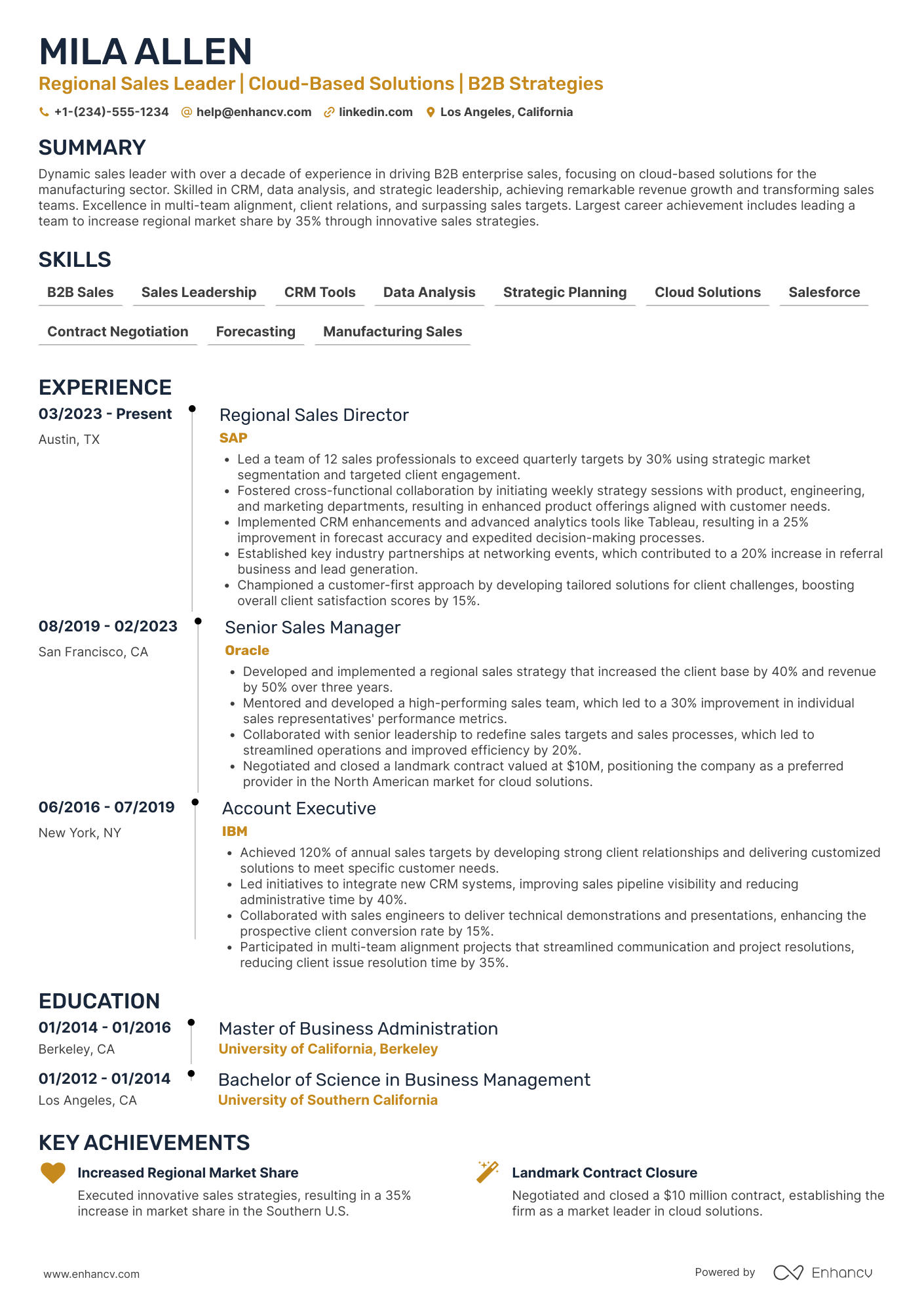 Regional Sales Director Resume Example