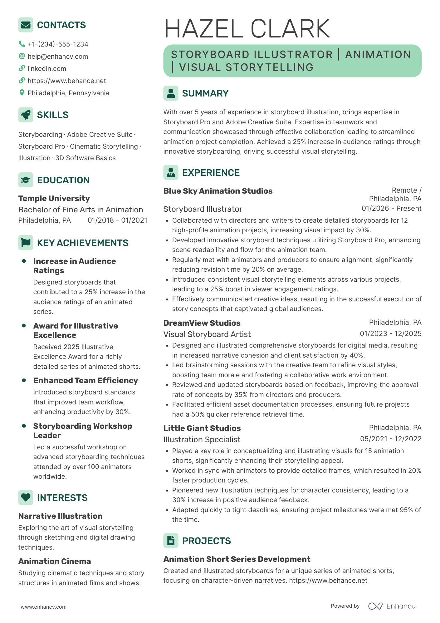 Storyboard Illustrator Resume Example