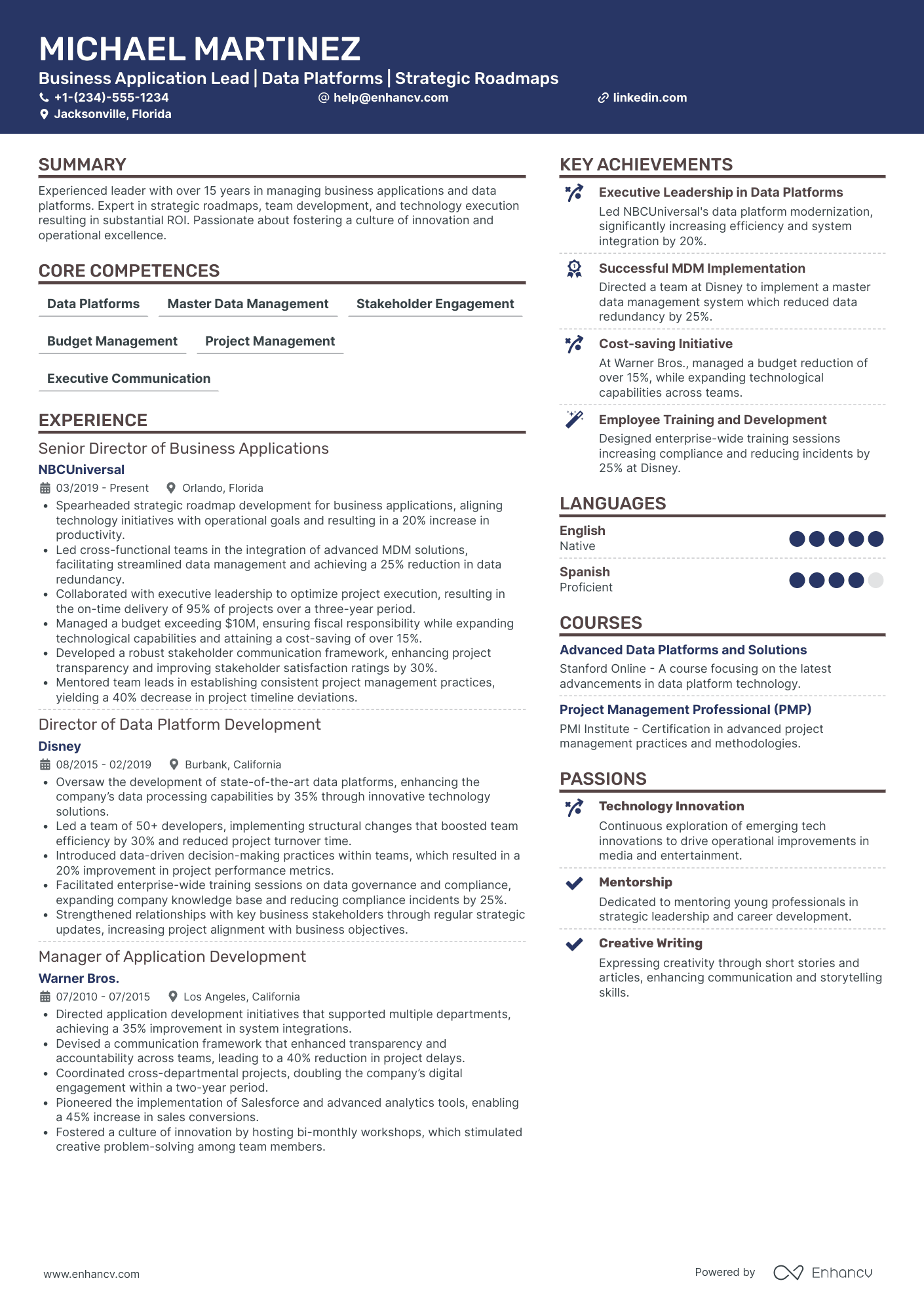 Chief Data Officer for Subscription Based Businesses Resume Example