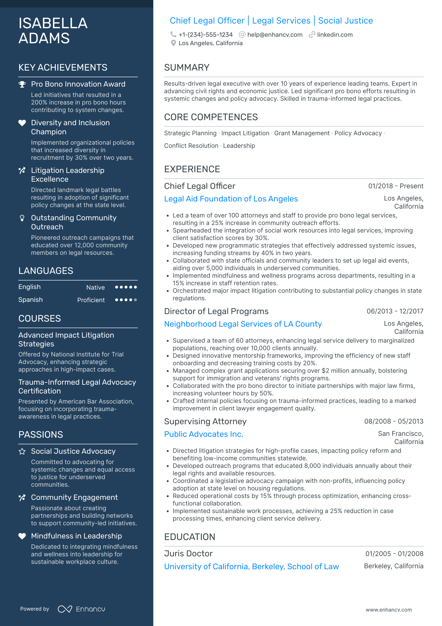 Chief Legal Officer for Non Profit Organizations Resume Example