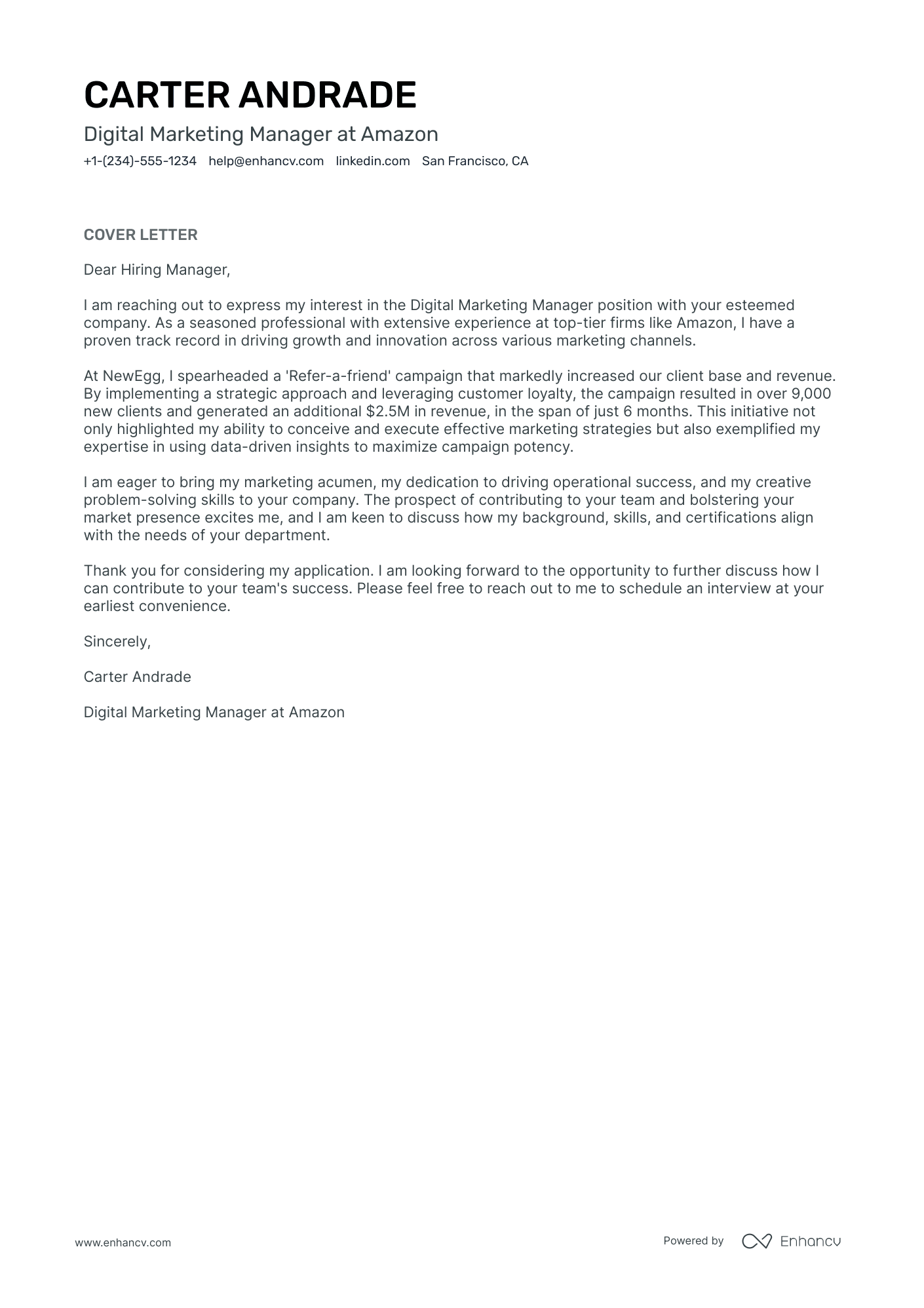 Digital Marketing Manager Resume Example