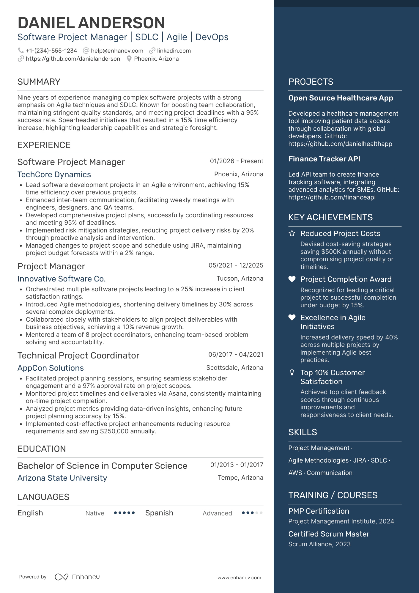 Software Project Manager Resume Example