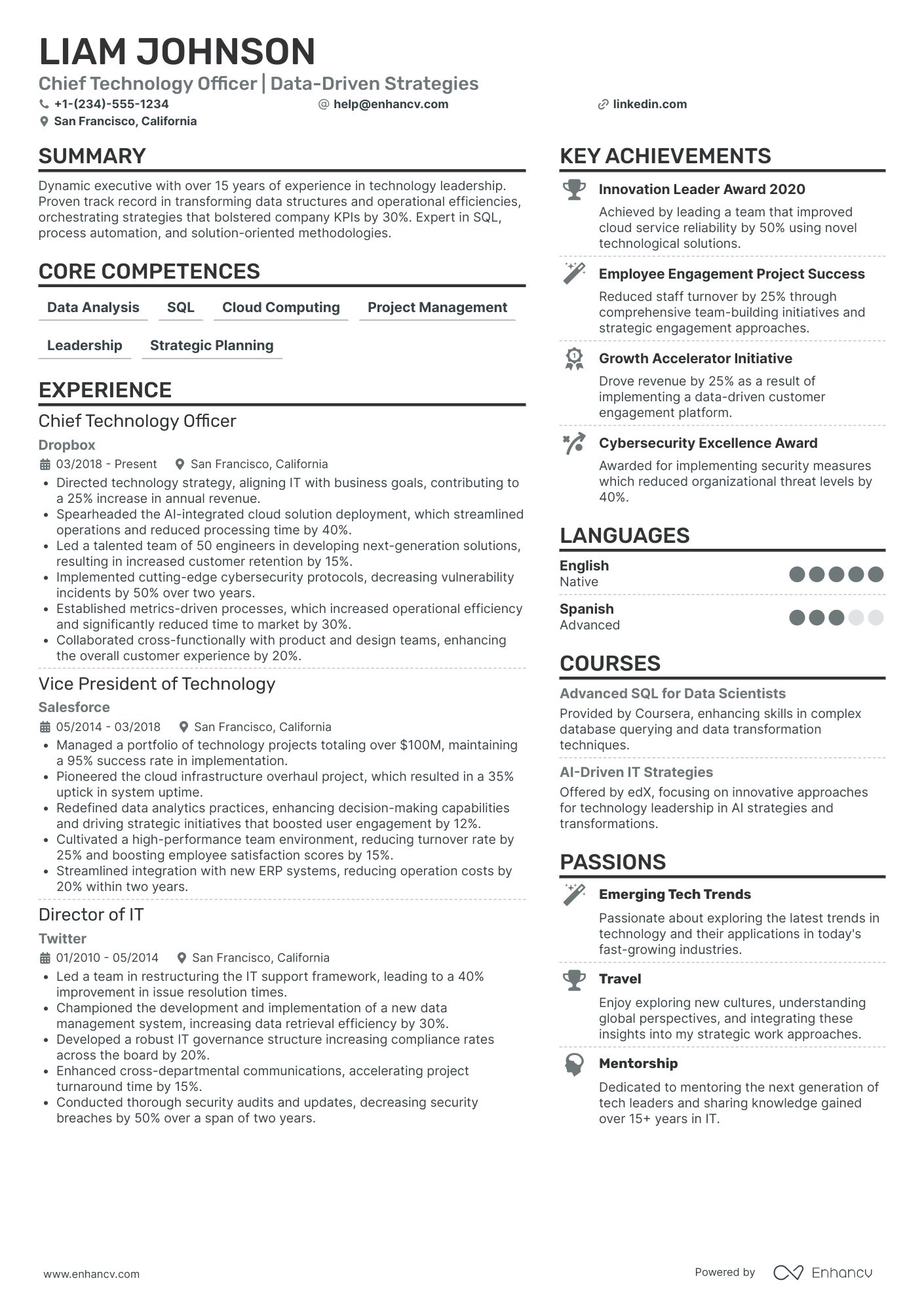 Chief Innovation and Operations Officer Resume Example