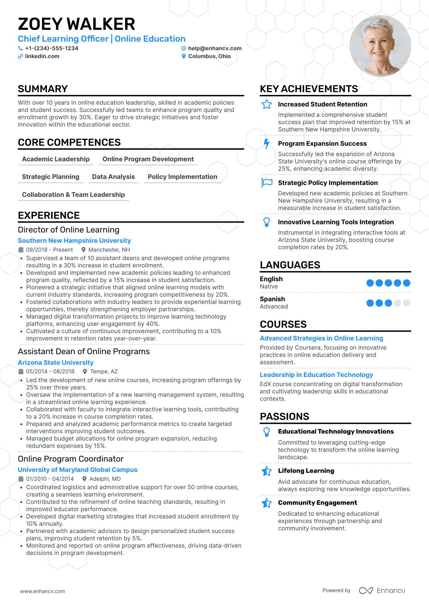 Chief Learning Officer Resume Example