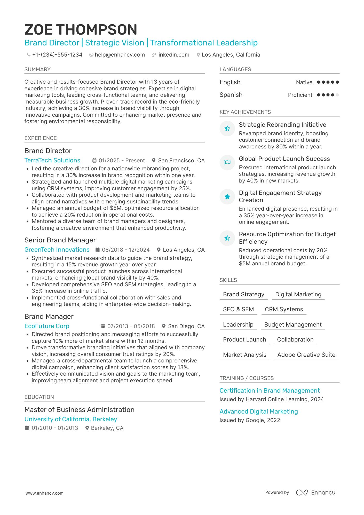 Brand Director Resume Example