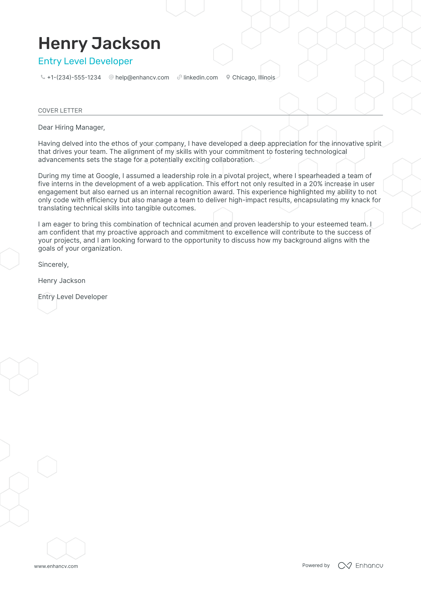 Entry Level Developer Resume Example