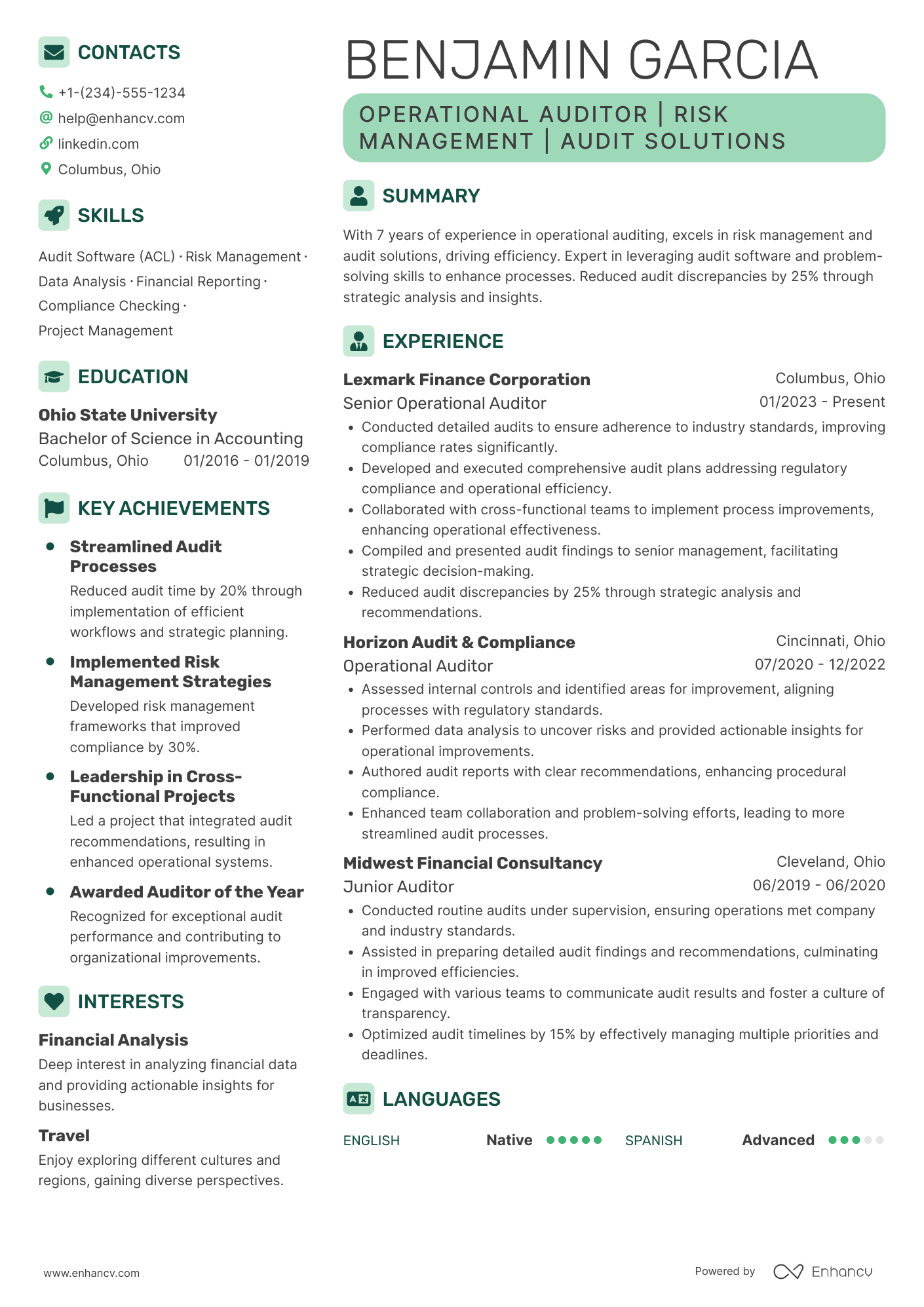 Operational Auditor Resume Example