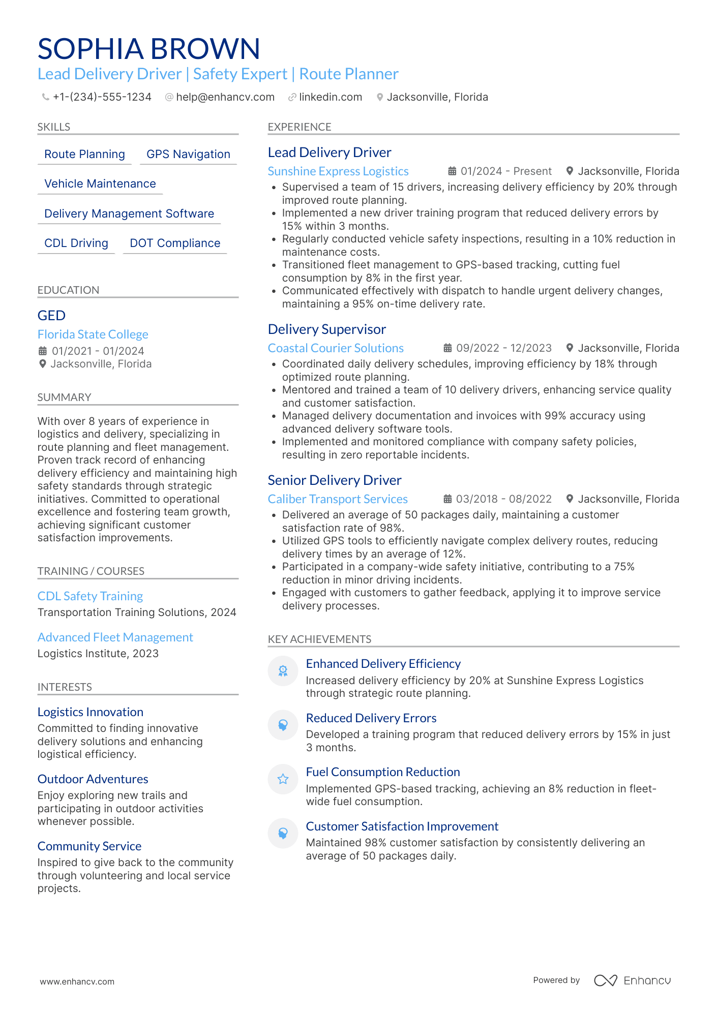 Lead Delivery Driver Resume Example