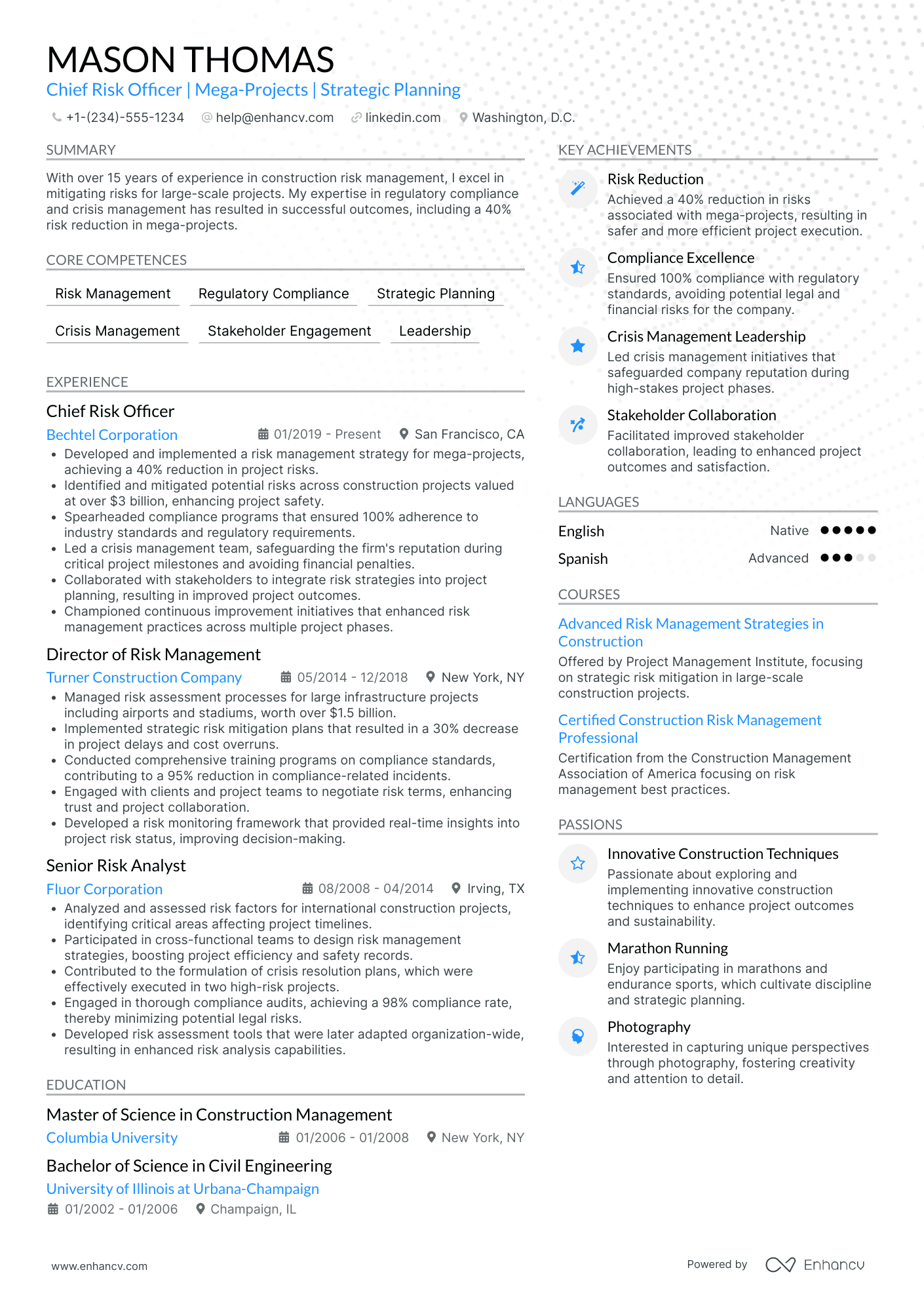 Chief Risk and Strategy Officer Resume Example