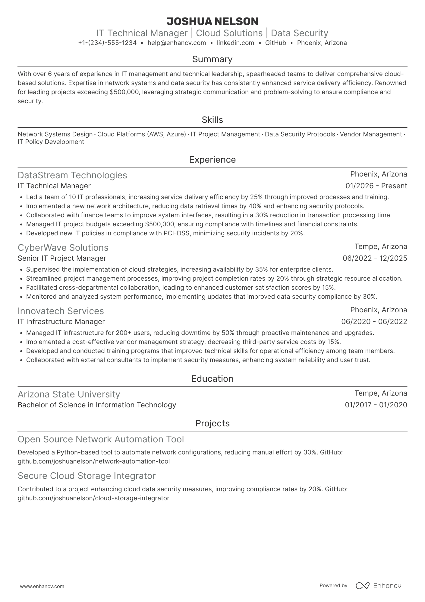 IT Technical Manager Resume Example