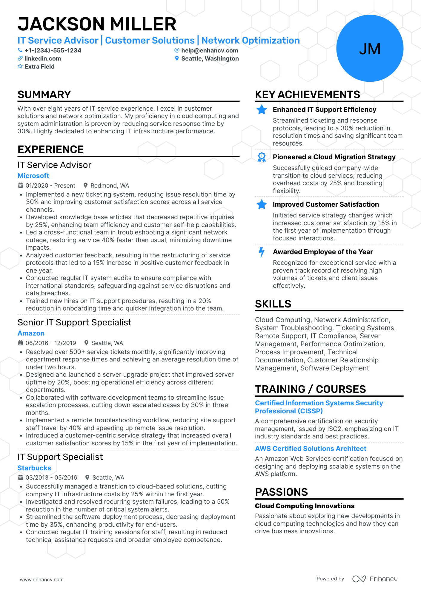 IT Service Advisor Resume Example