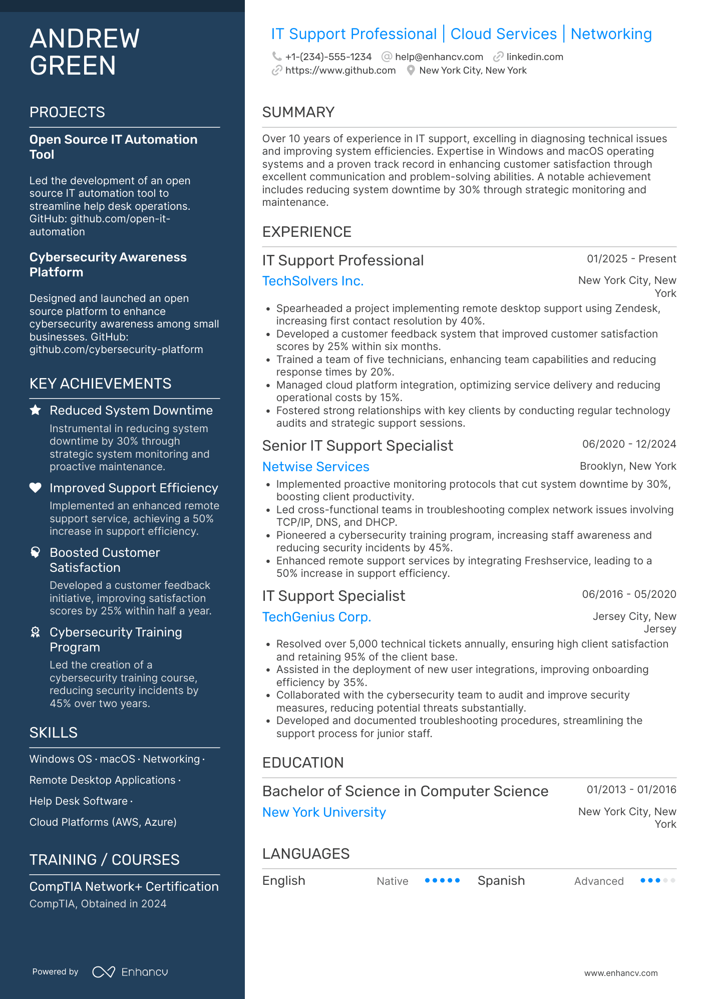 IT Support Professional Resume Example