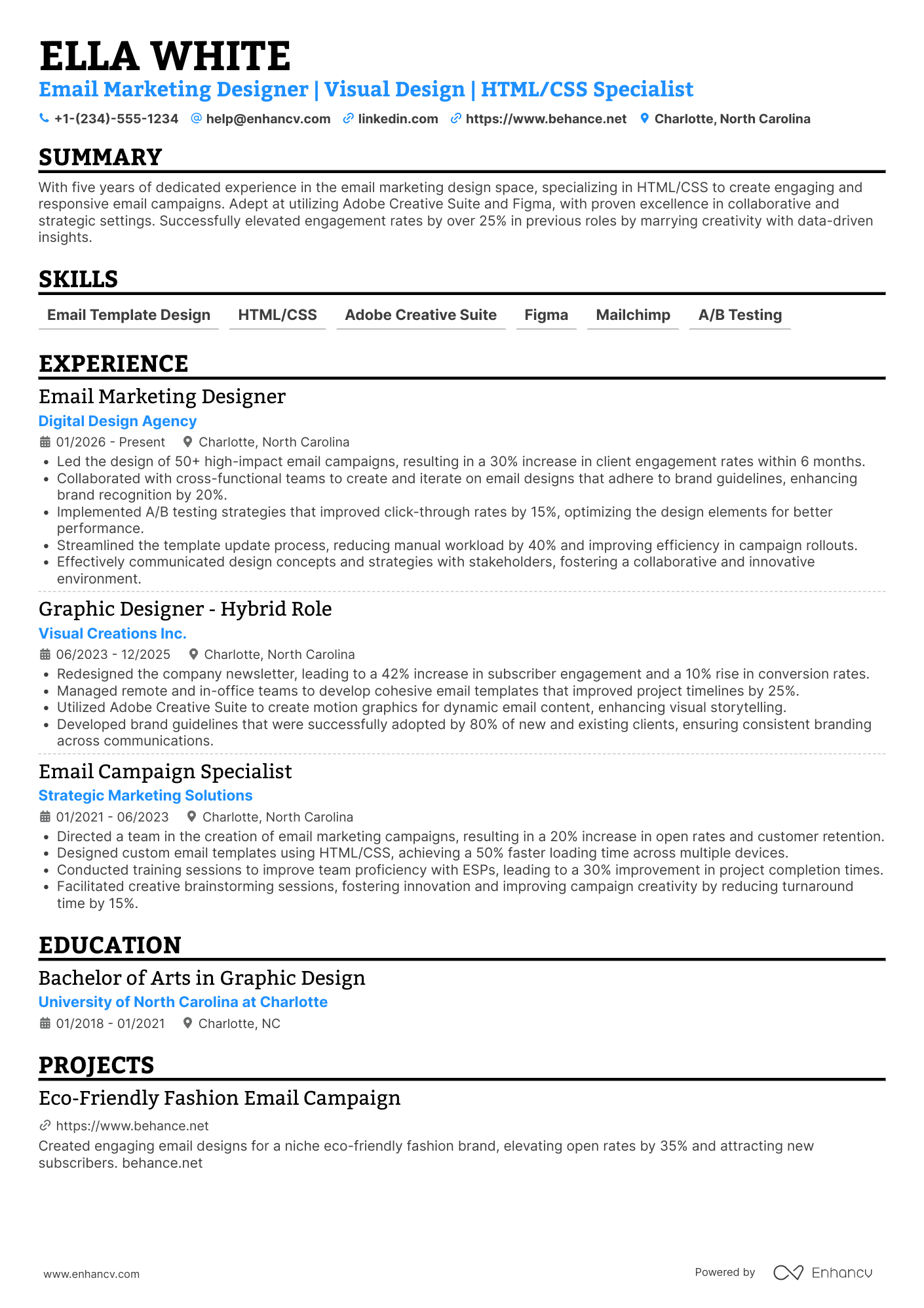 Email Marketing Designer Resume Example