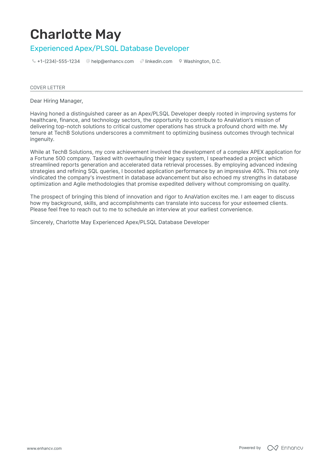 Database Developer Resume Example