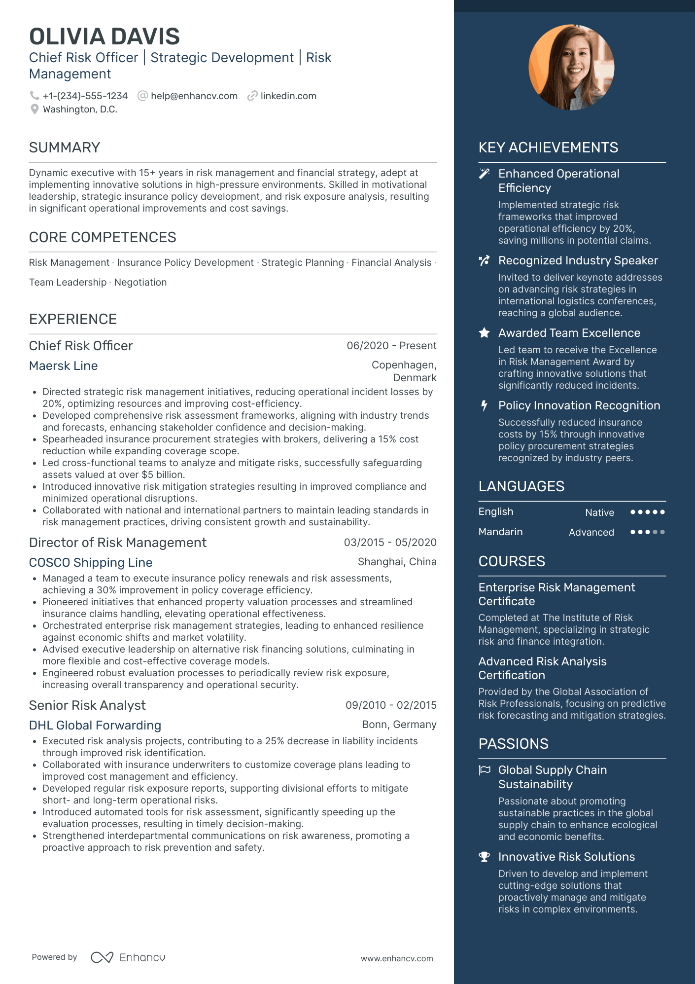 Deputy Chief Risk Officer Resume Example