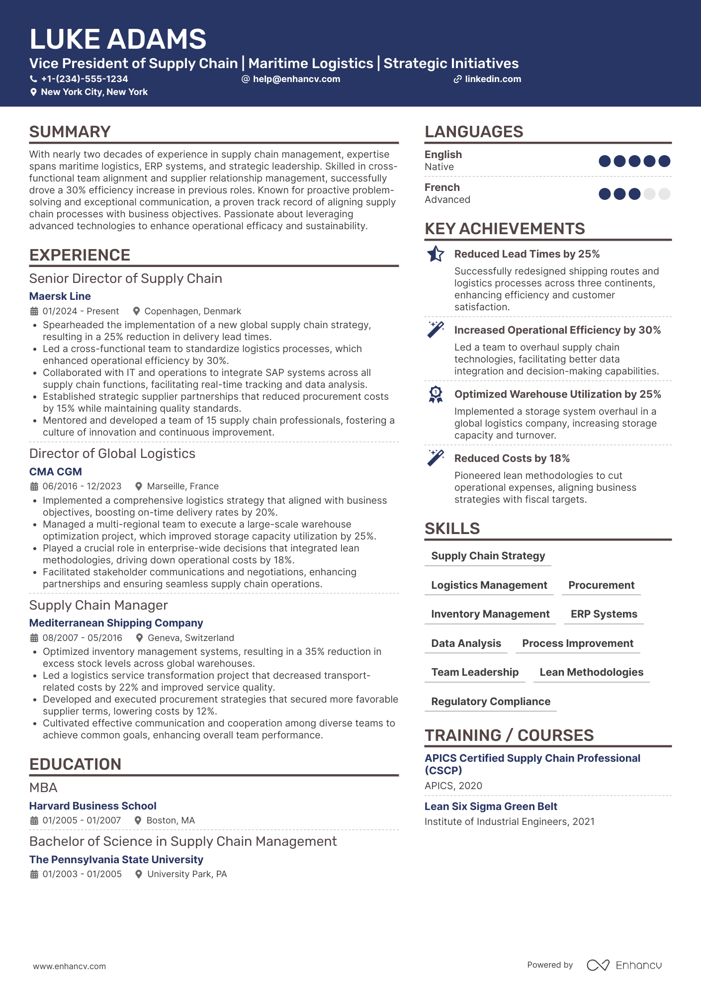 Vice President of Supply Chain Resume Example