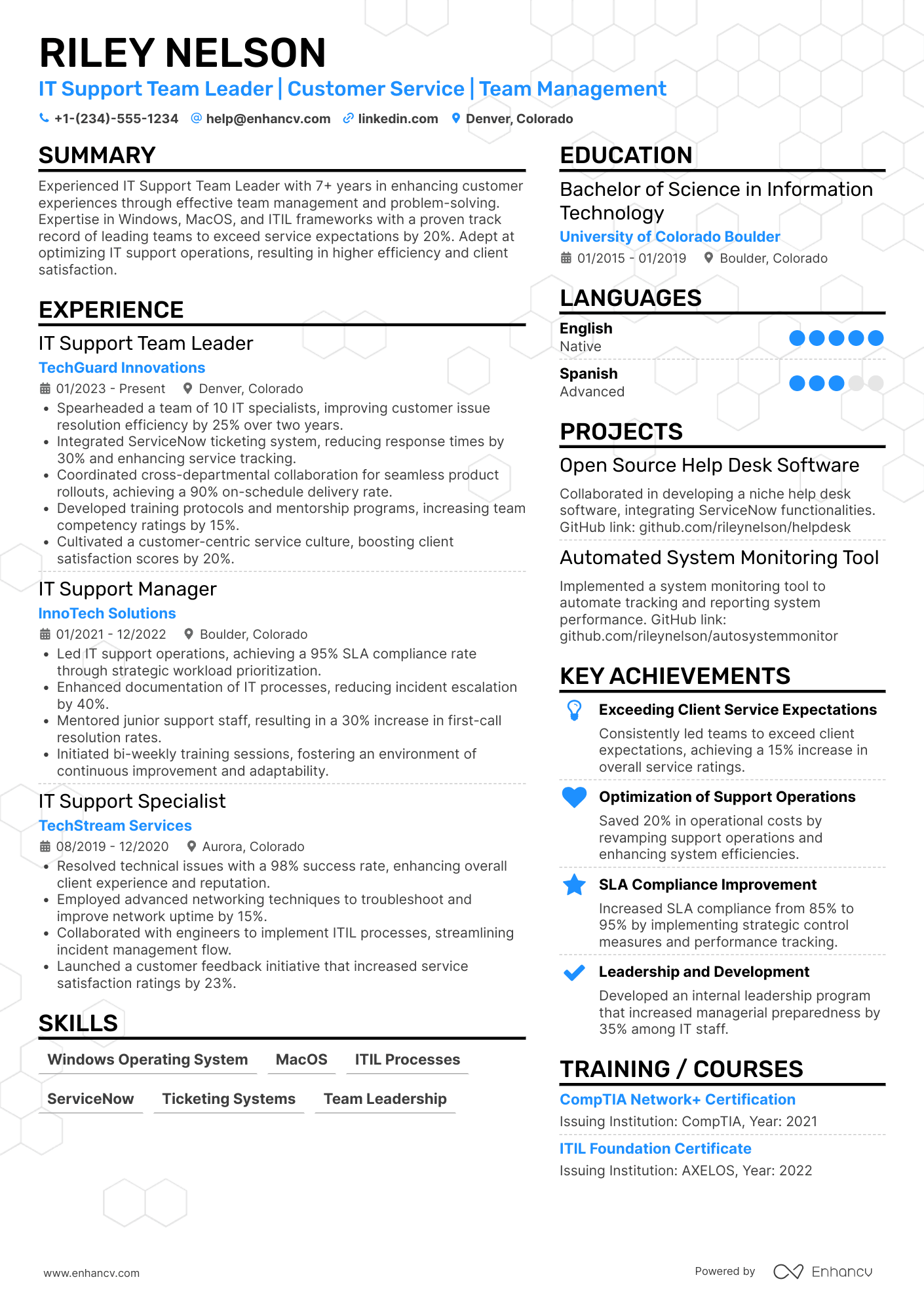 IT Support Team Leader Resume Example