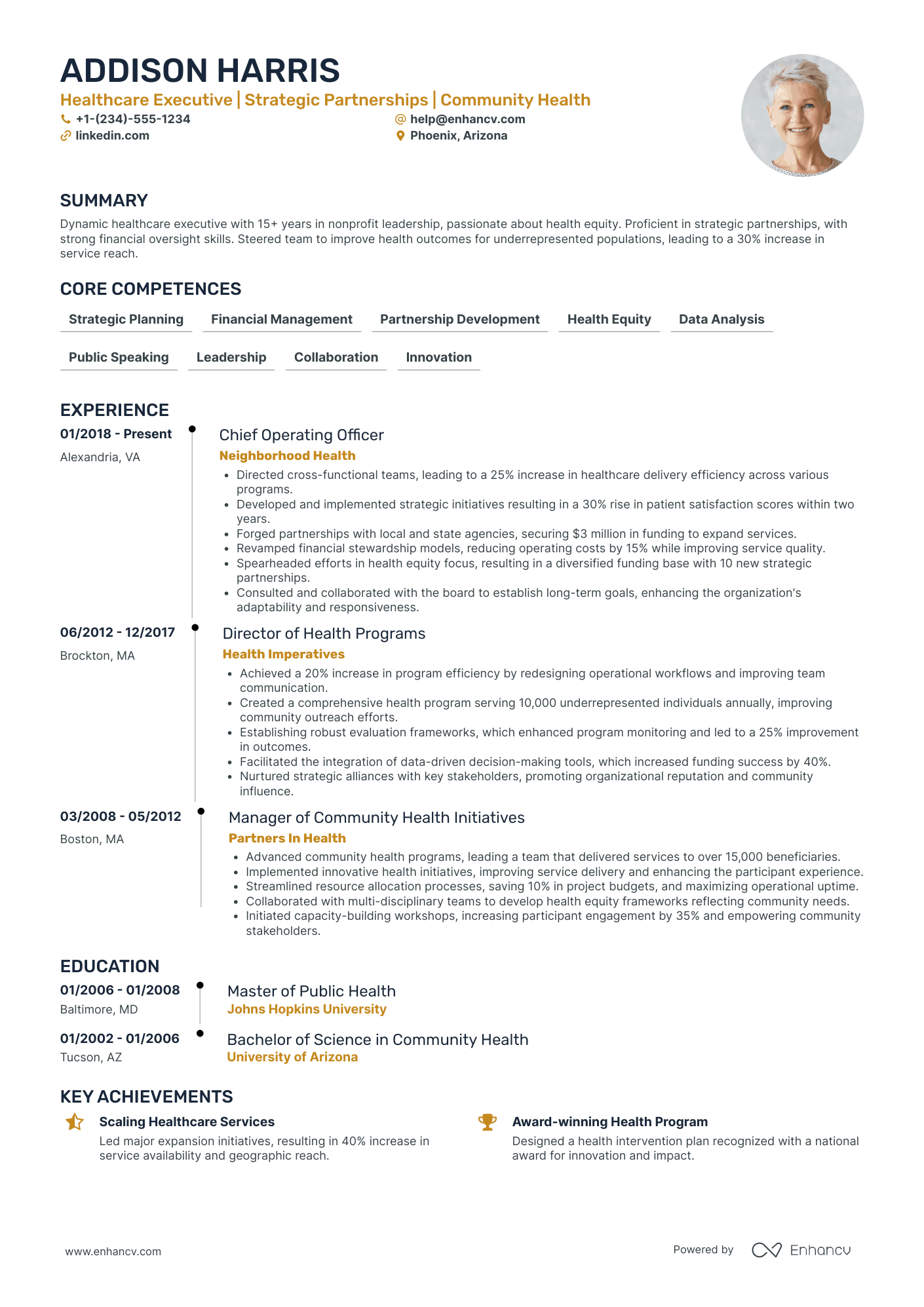 Chief Executive Officer in Government and Public Administration Resume Example